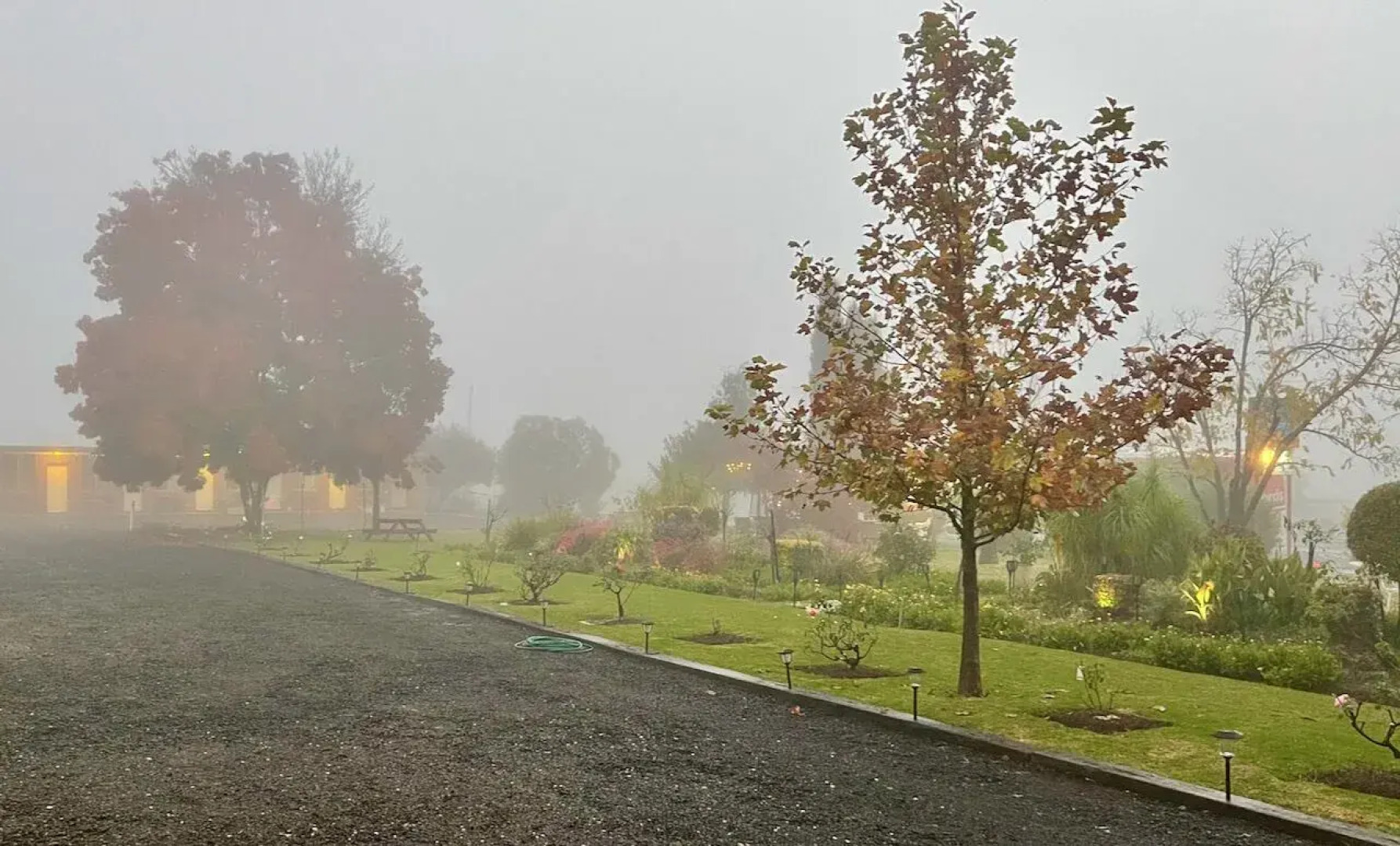 Quirindi Sunflower Motor Inn