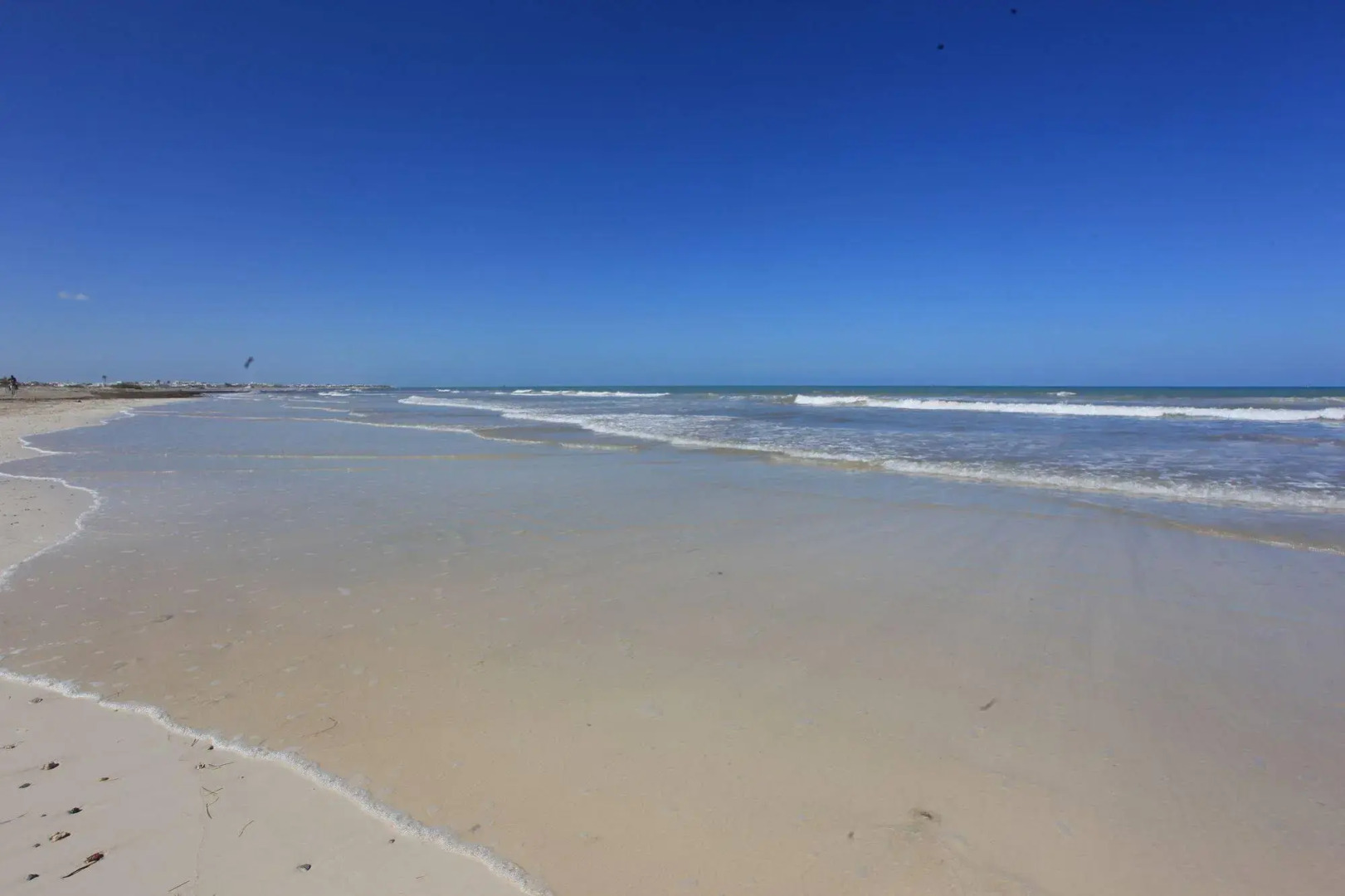 Venice Beach -Couples and Families Only