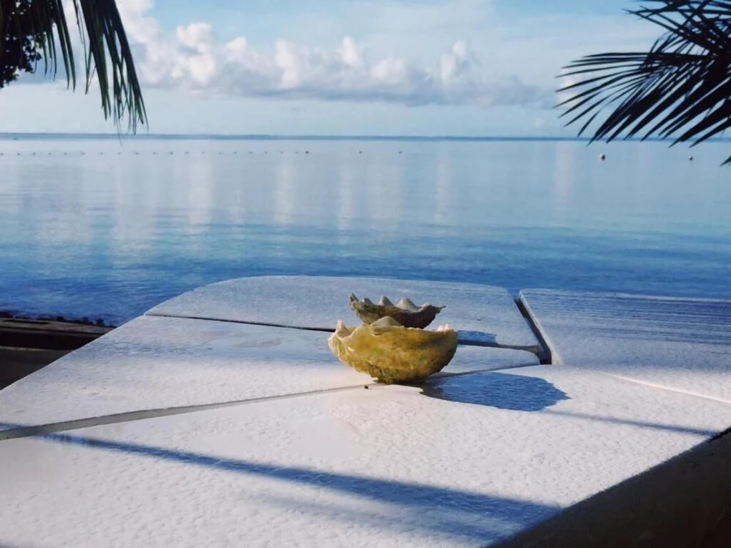 Ngellil Nature Island Resort