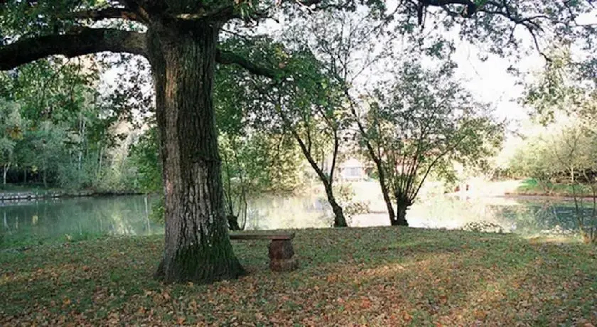 Maison dHotes Villepalay