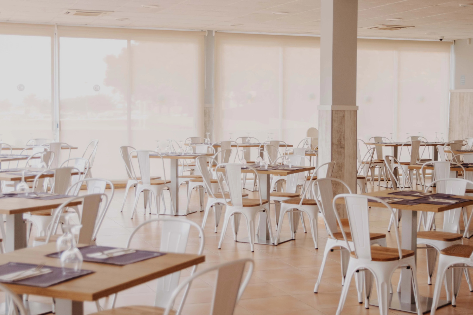 Comitas Isla del Aire