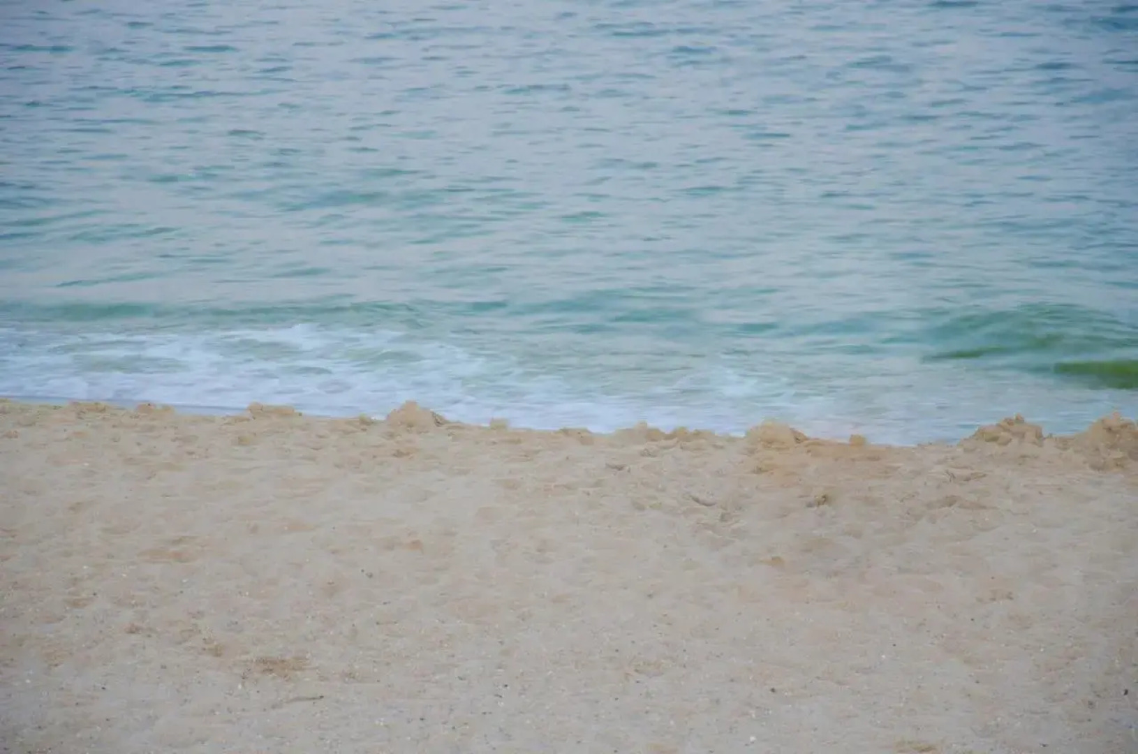 Guest House Primorskaya 25