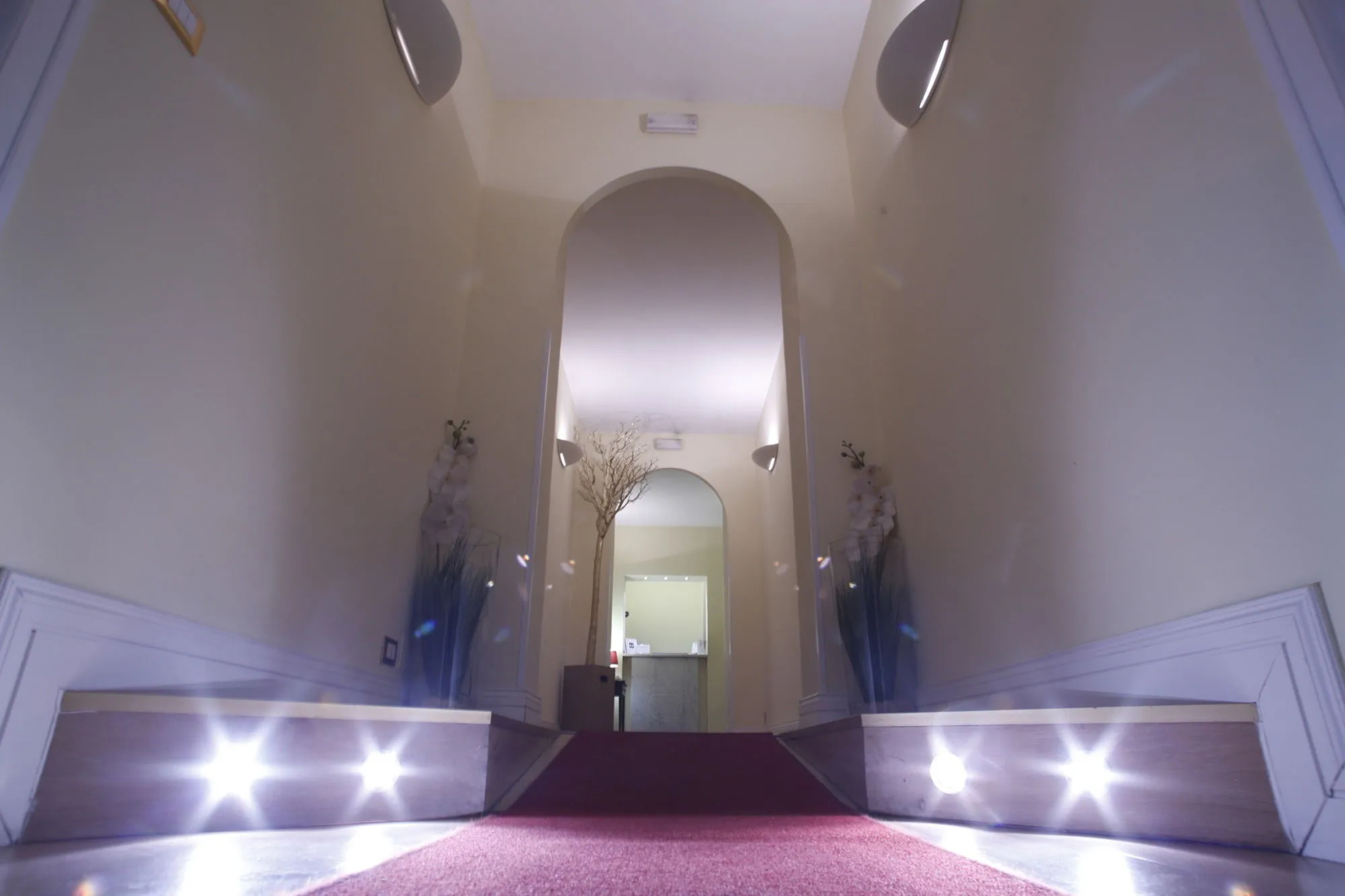 Отель Domus Castrense