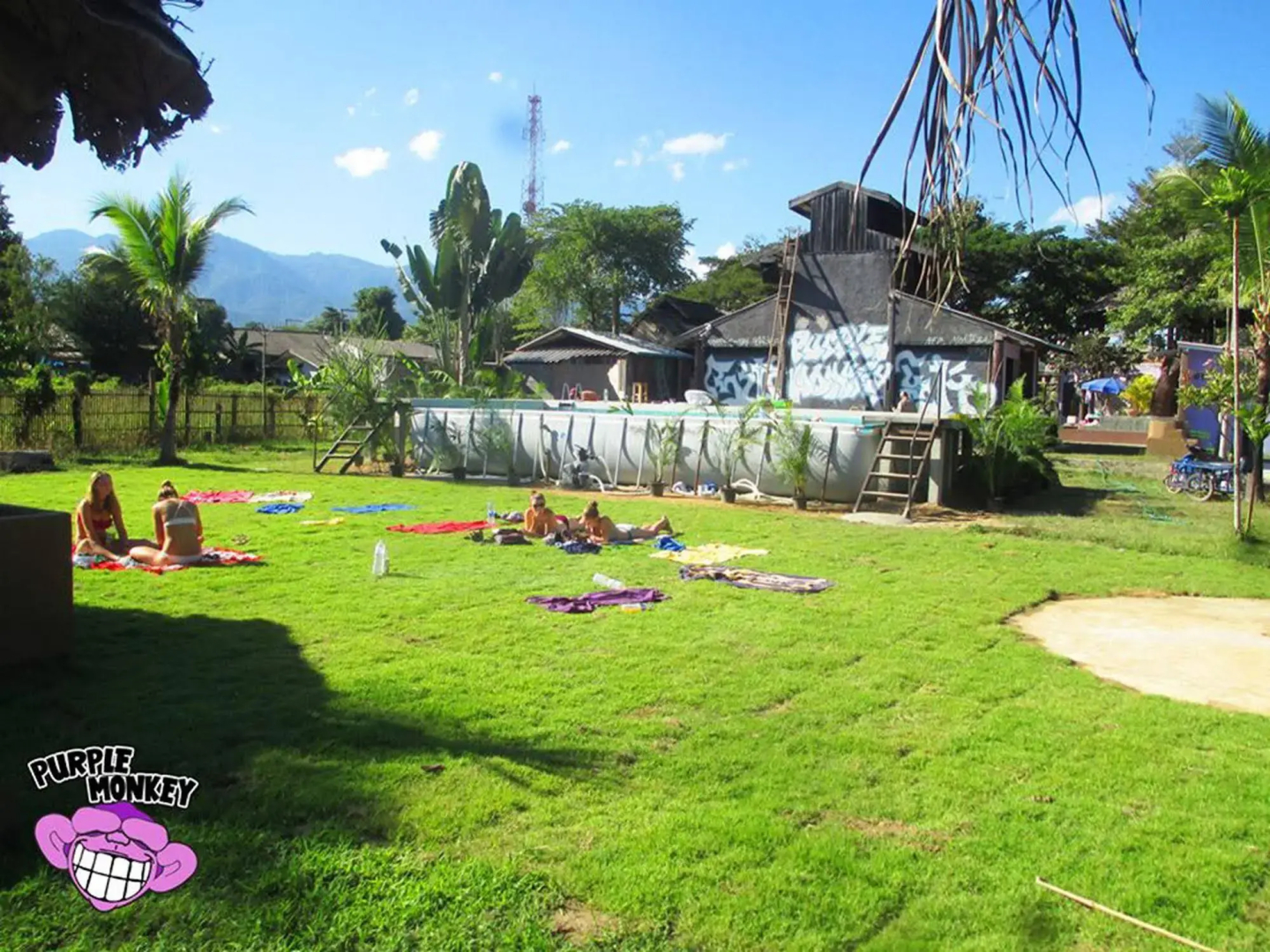 Purple Monkey Backpackers