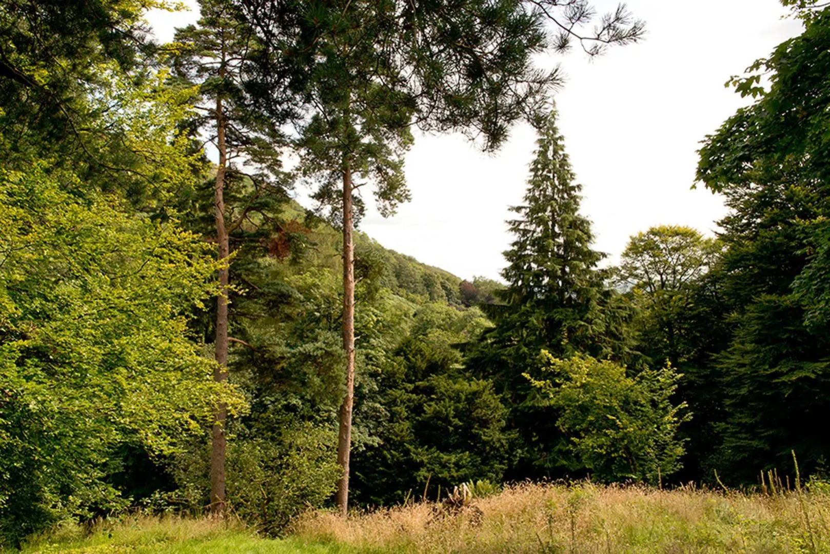 YHA Langdale - Hostel