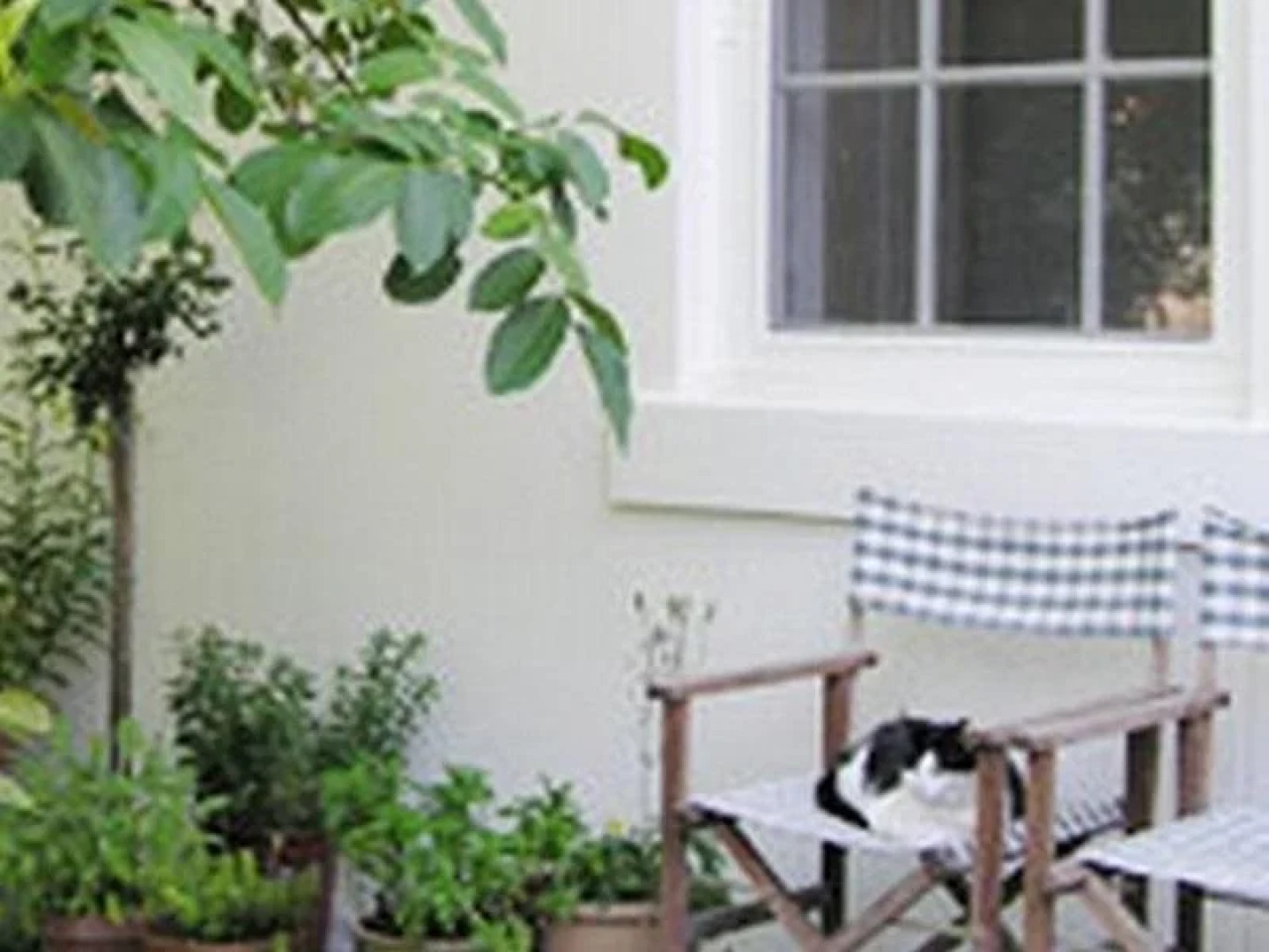 Camellia Cottage Bed & Breakfast