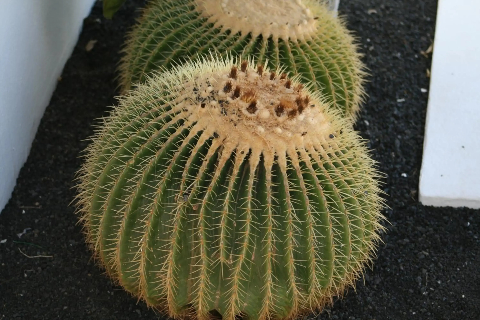 Apartamentos Villa Canaima