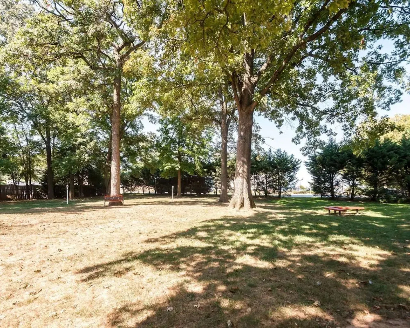 Comfort Inn At Shady Grove