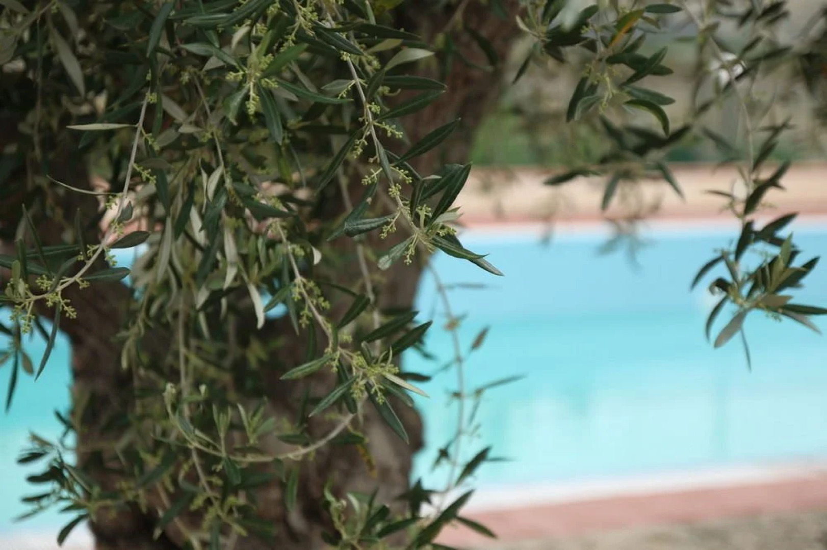 Agriturismo Villa San Leonardo