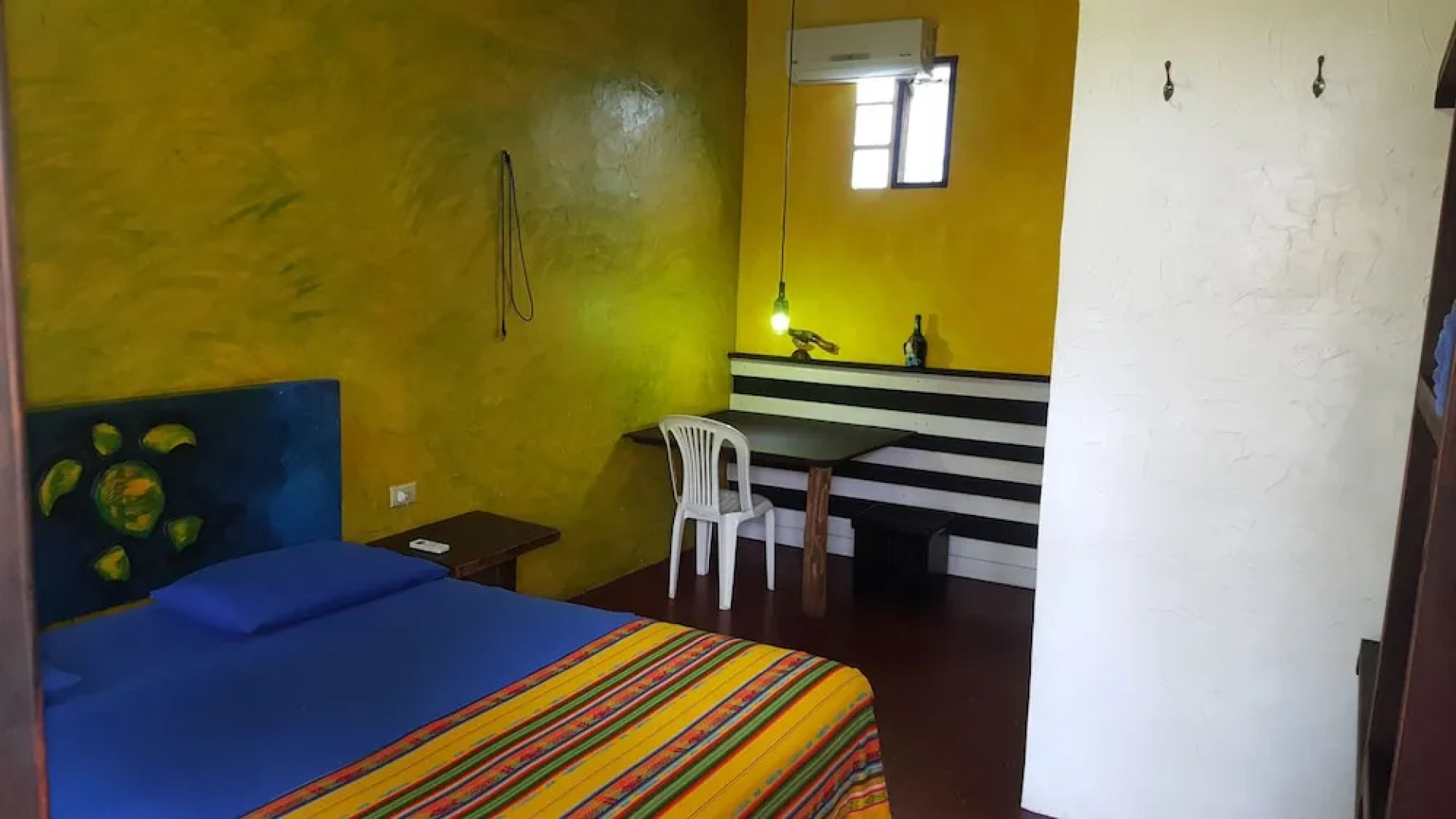 Galapagos Morning Glory