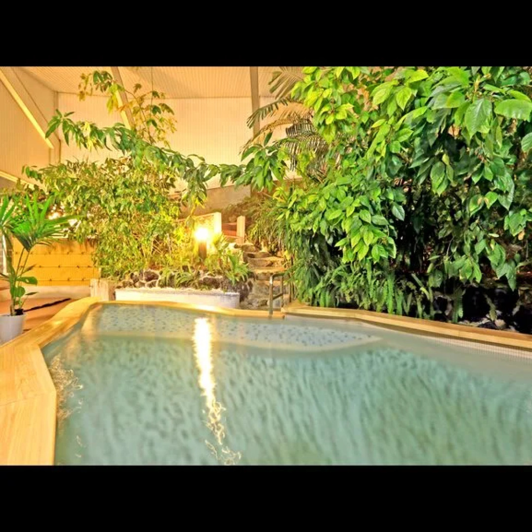 Kakino Onsen Hasshoen Yumotokan