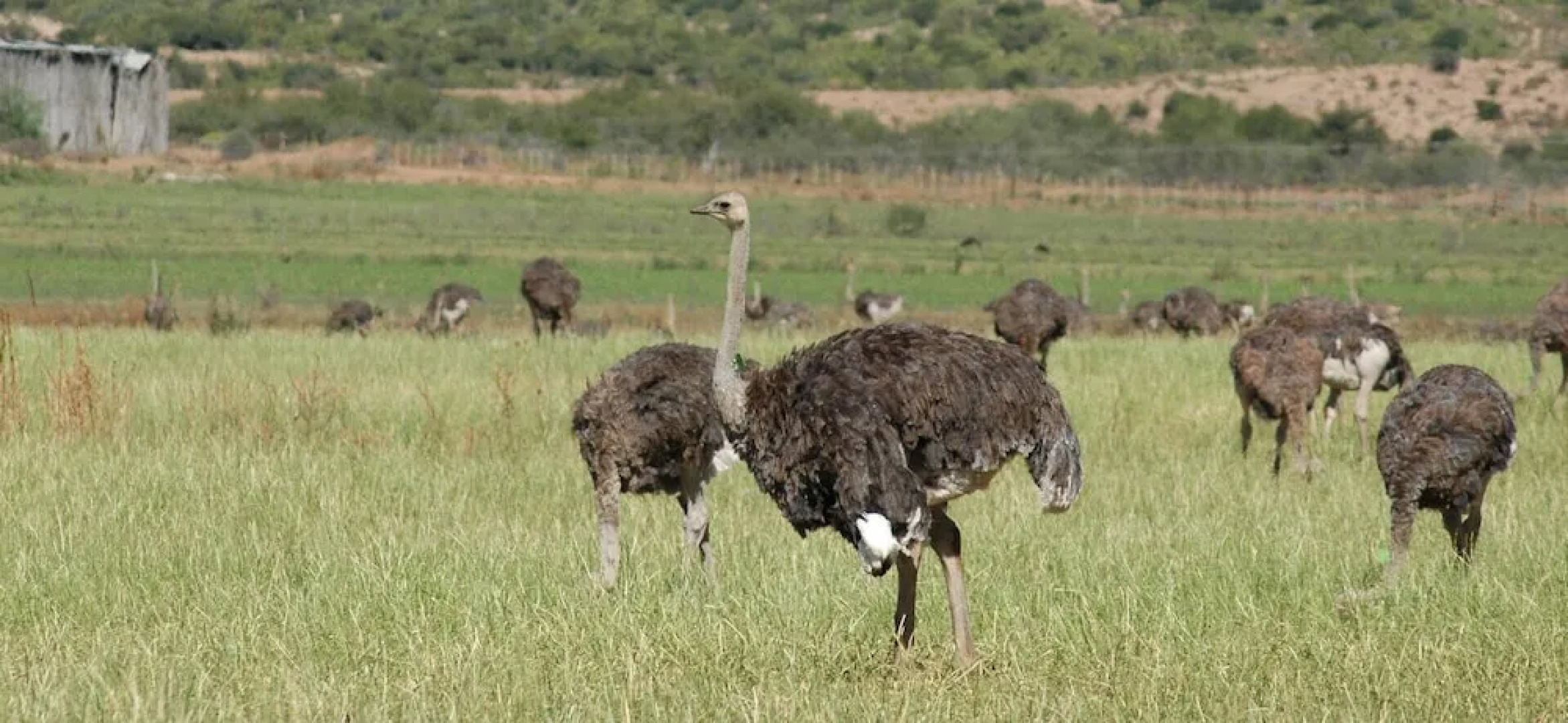 Avondblij Guest House B&B