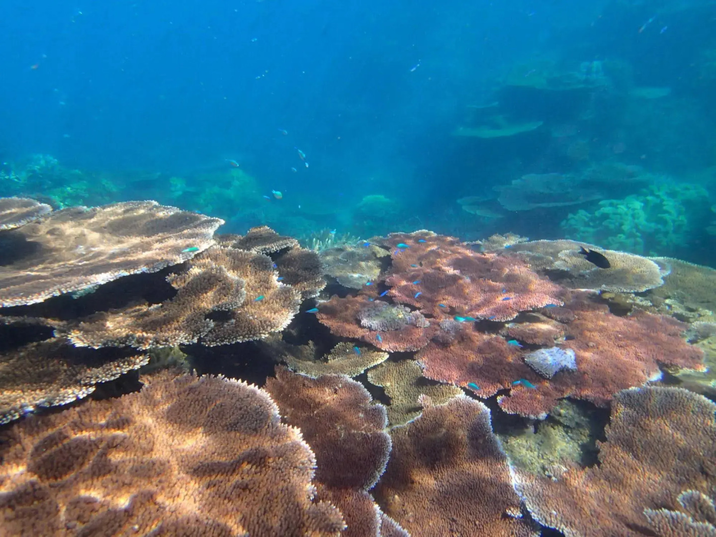 Turtle Bay Beach House