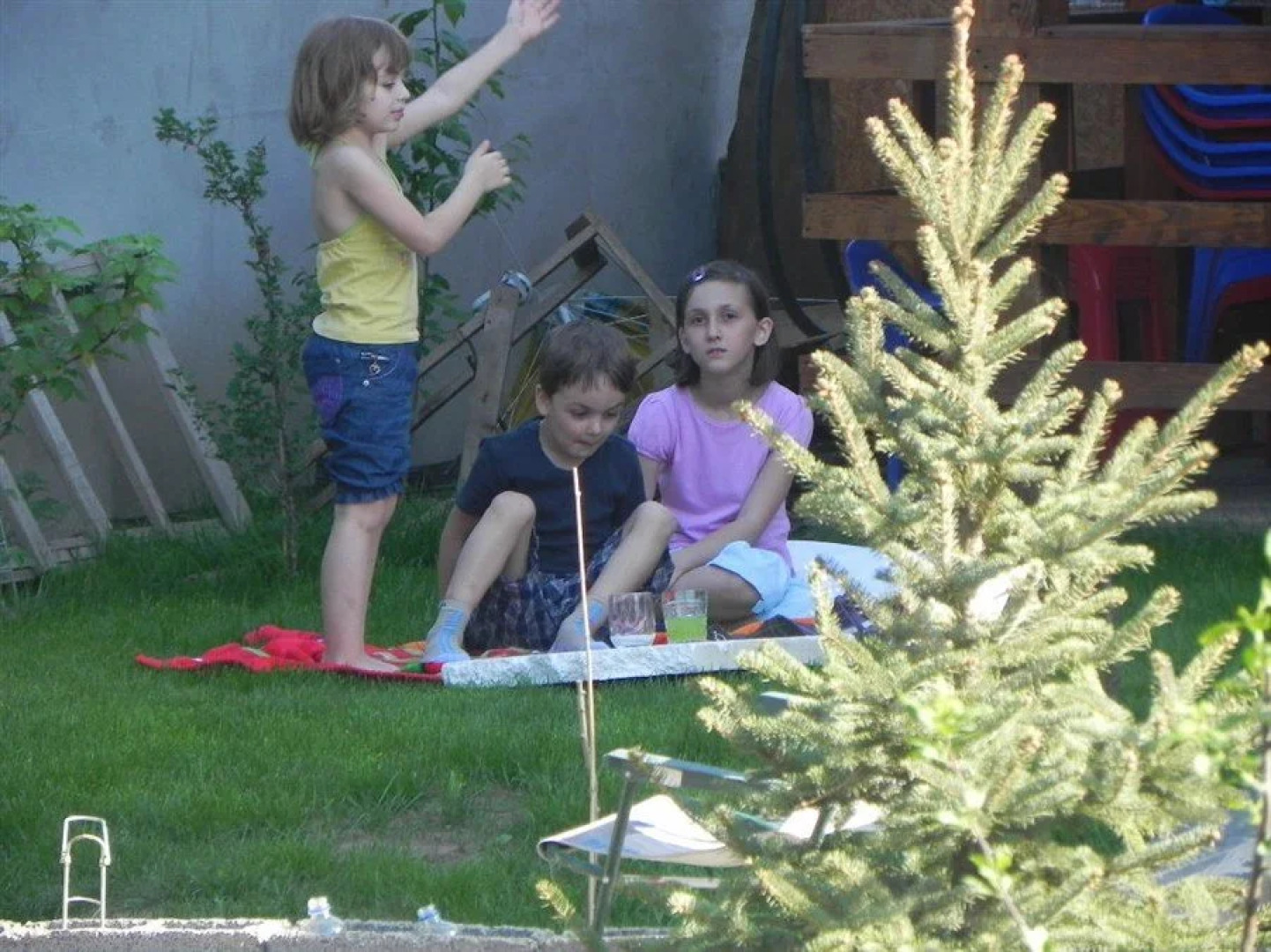 Pensiunea Nicol Tulcea