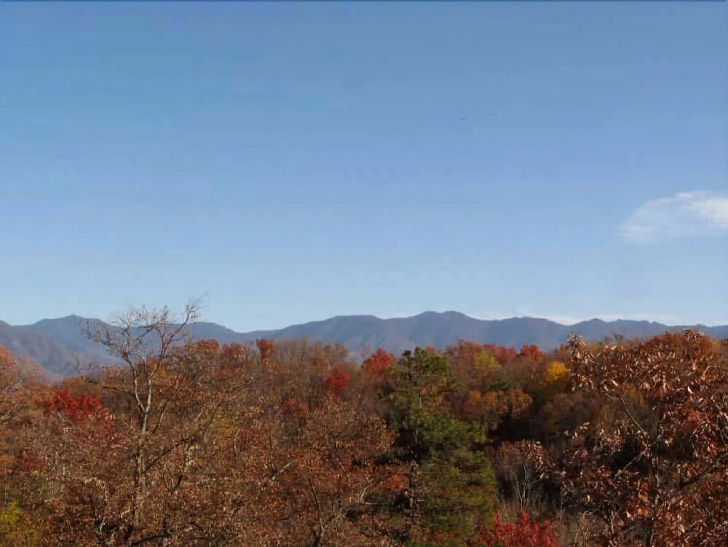 Smoky Ridge View - Three Bedroom Cabin