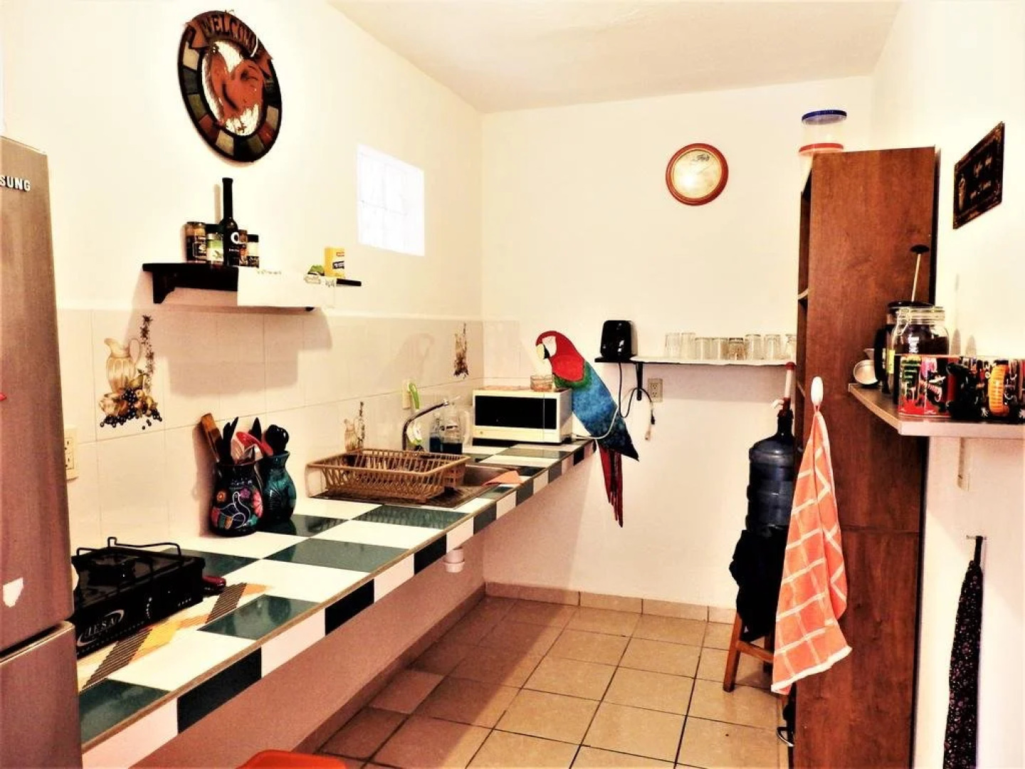 Hotelito Swiss Oasis - Adults Only