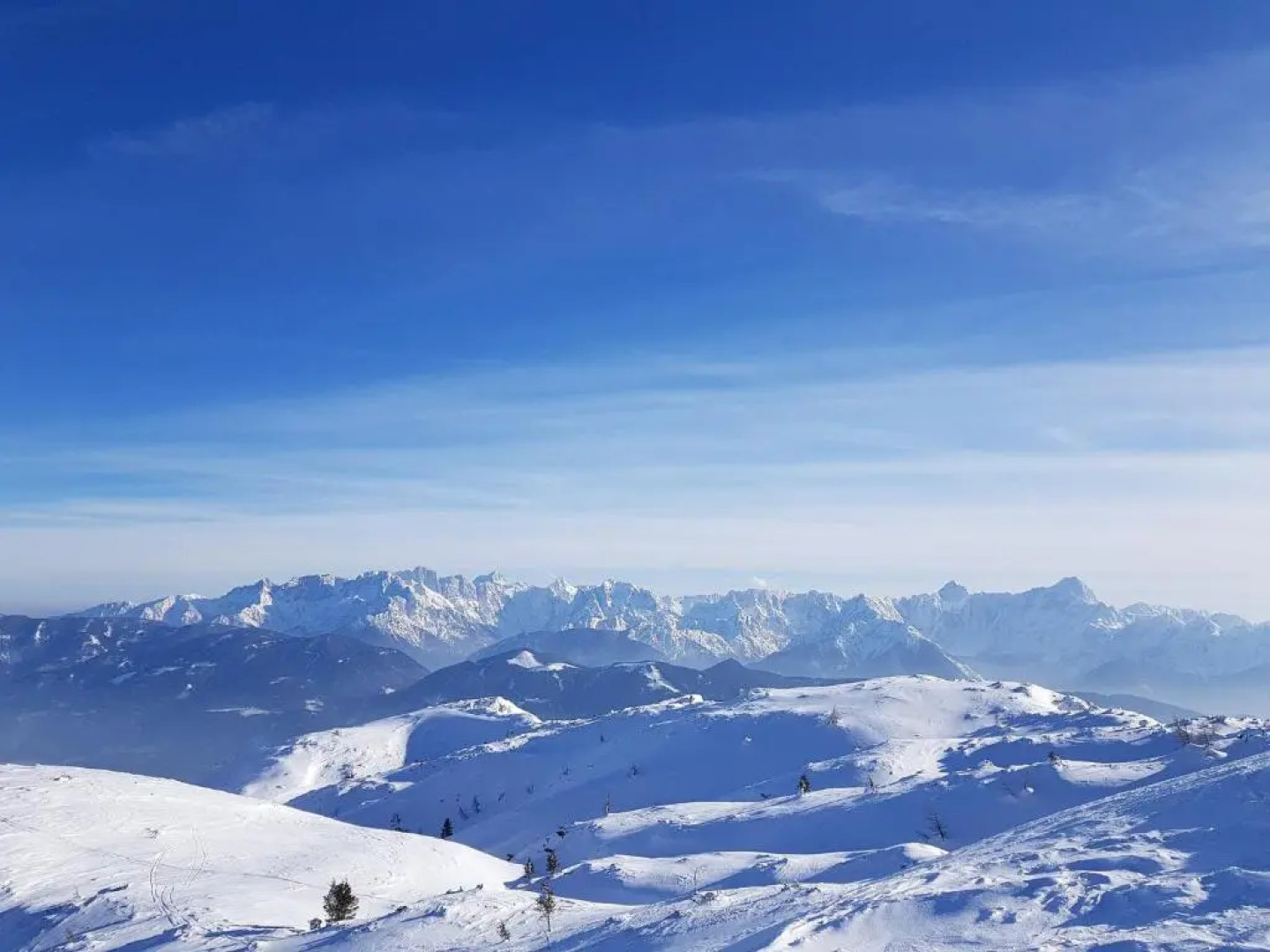 Four Seasons Apartment "GREEN PARADISE"