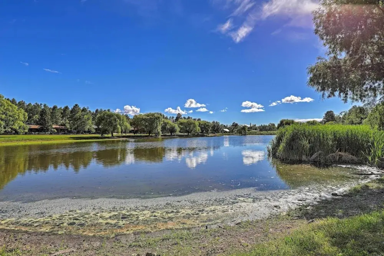 Serene Lakeside Cabin w/ Decks + Edler Lake Views!
