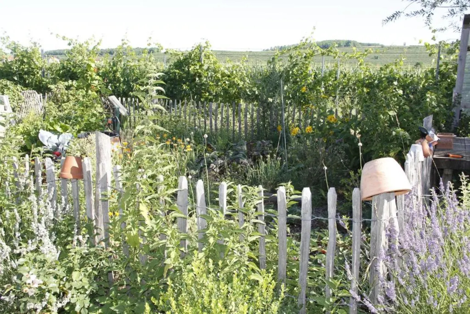 Kraut & Ruabn - Stadl