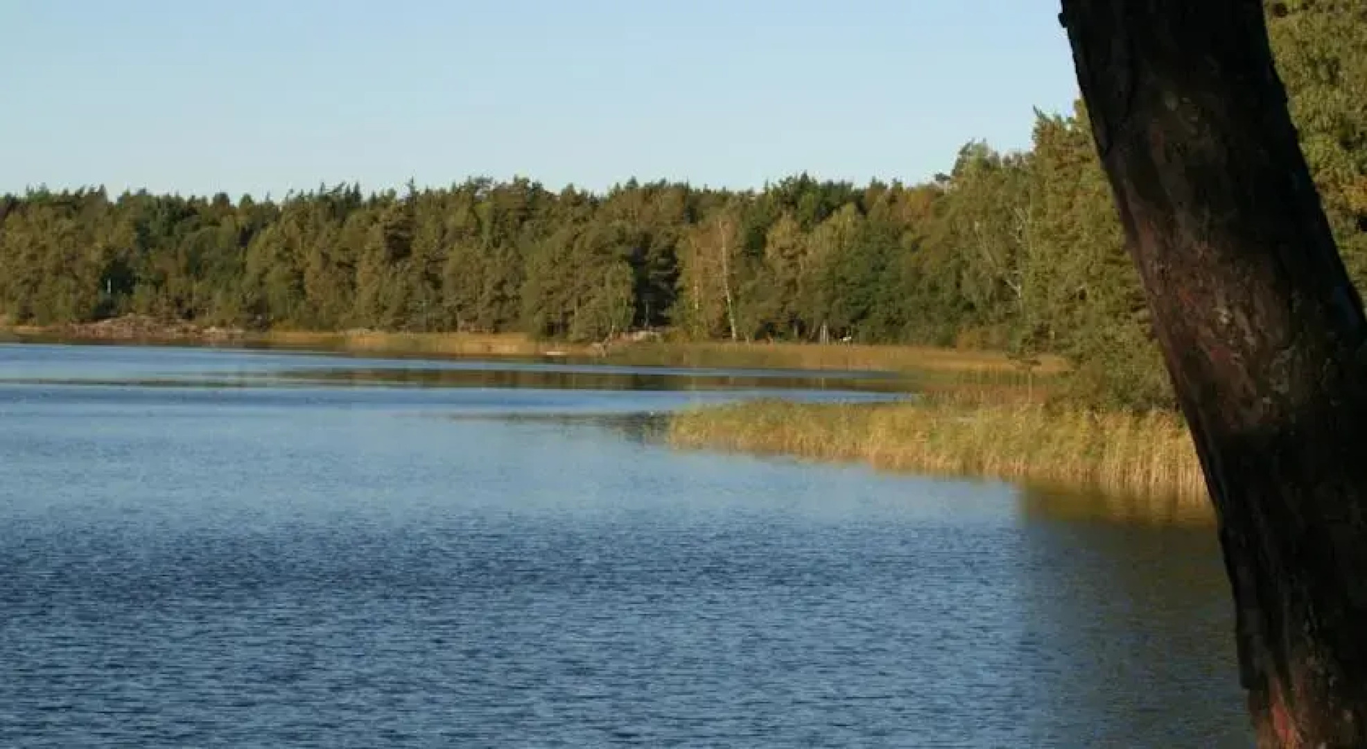 Domarudden Friluftsgård