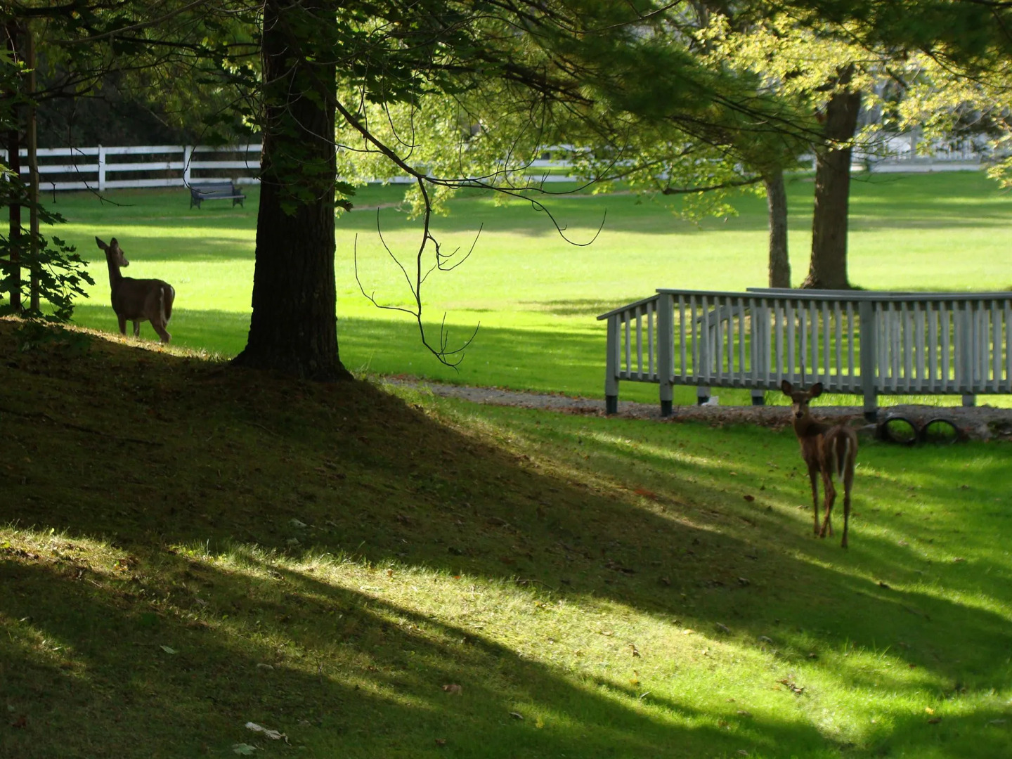 Colonial Resort-1000 Islands