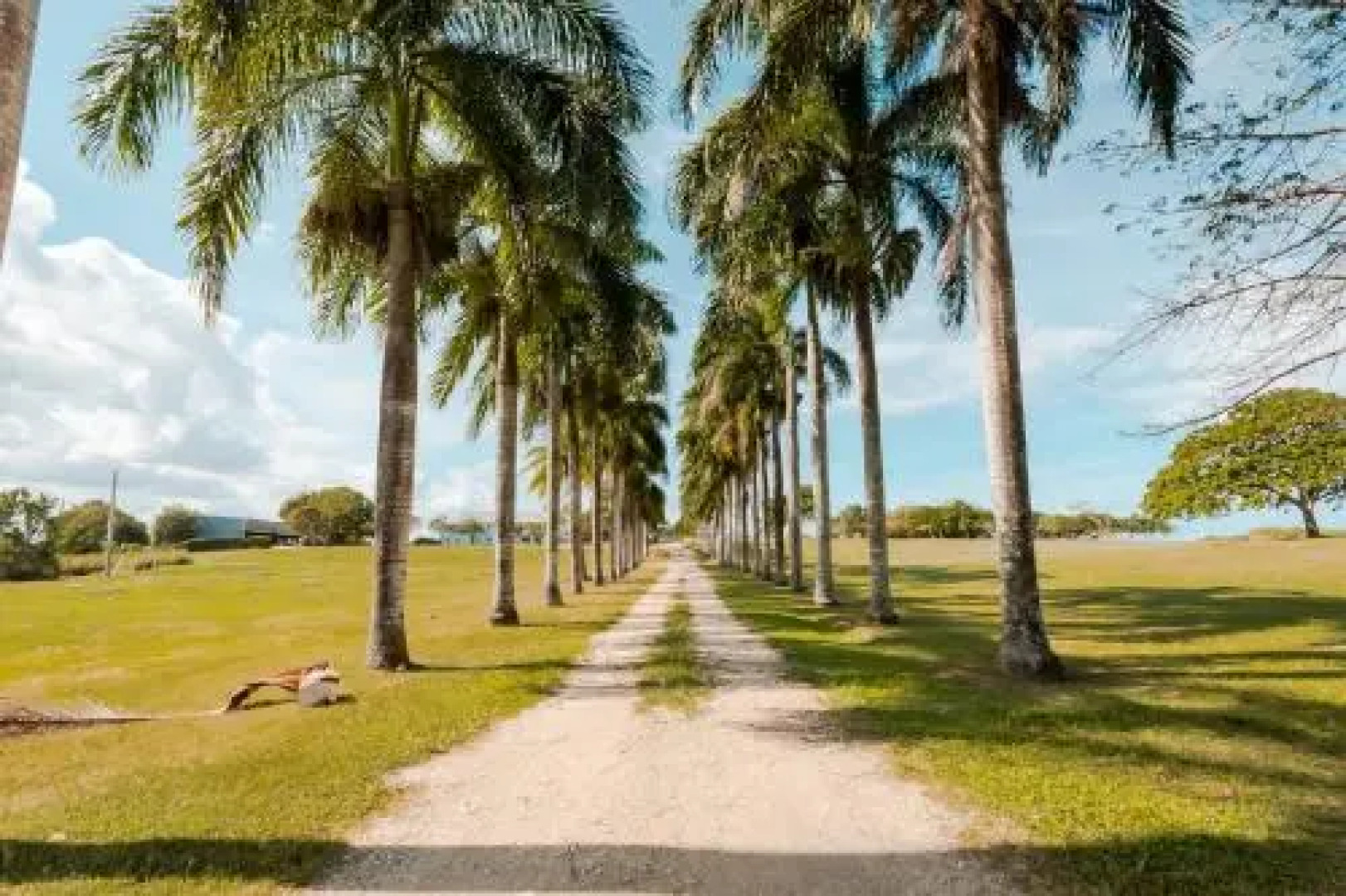 Caribbean Inn Hotels