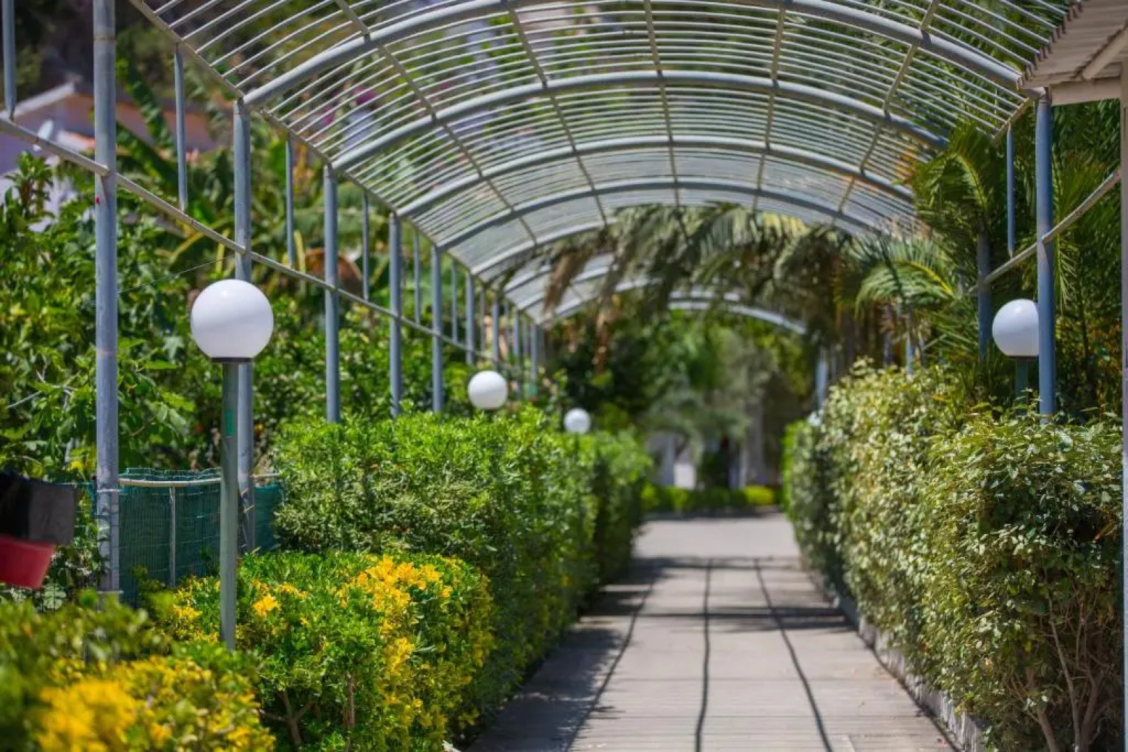 Testa di Monaco Natural Beach