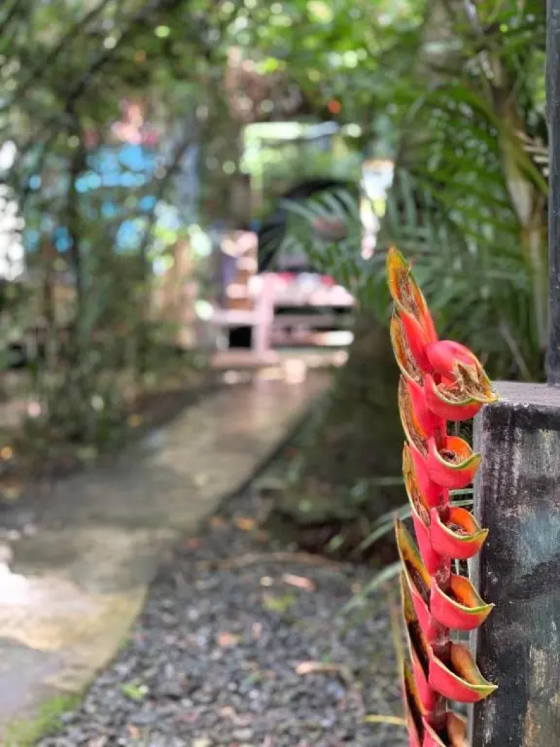 Hostal Camping la Y Griega