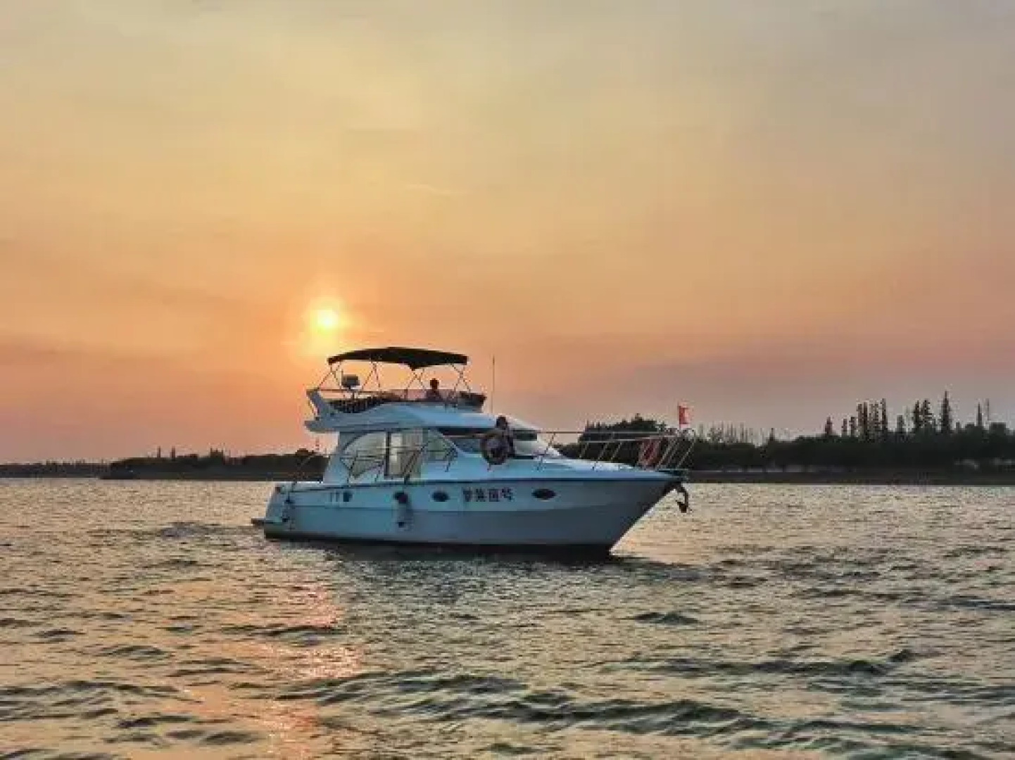 Rhine Dream Yacht Club