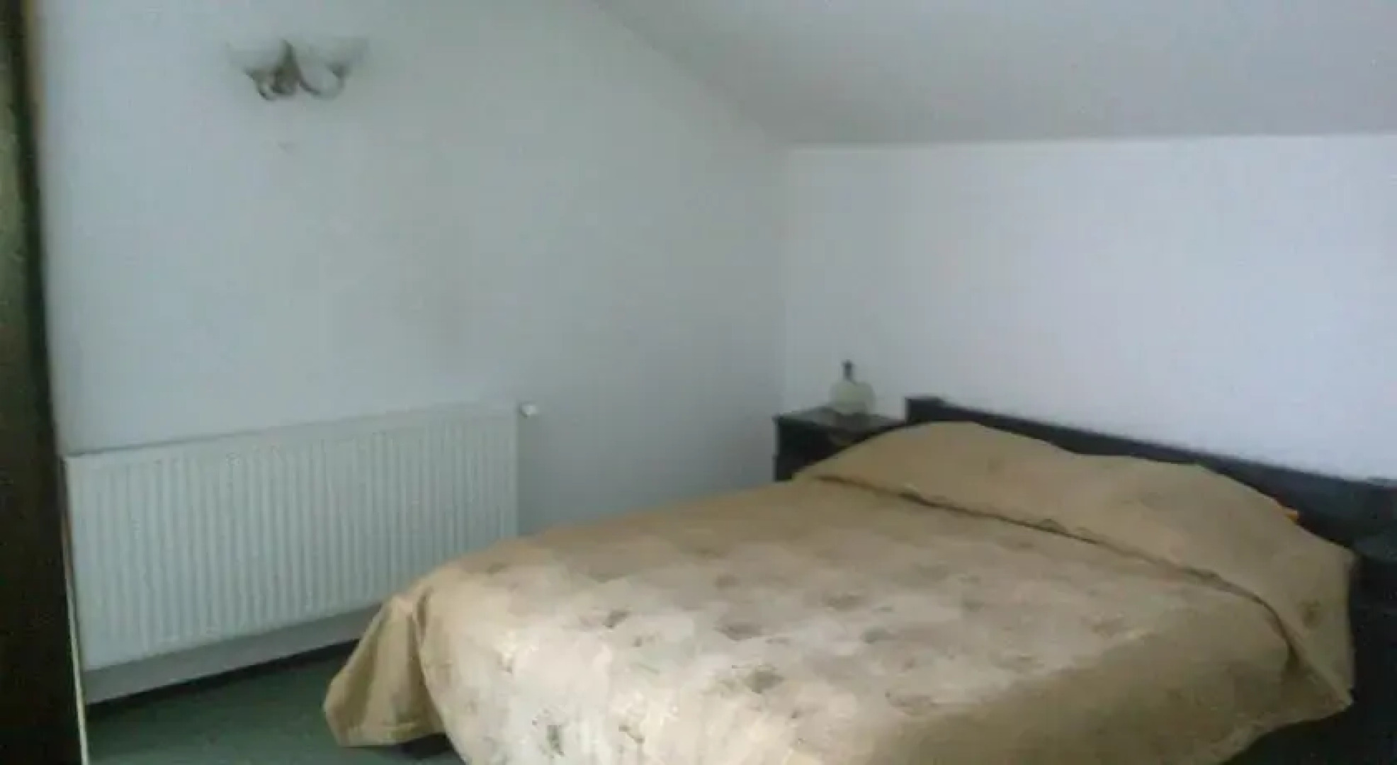 Casa Olteanu Pension