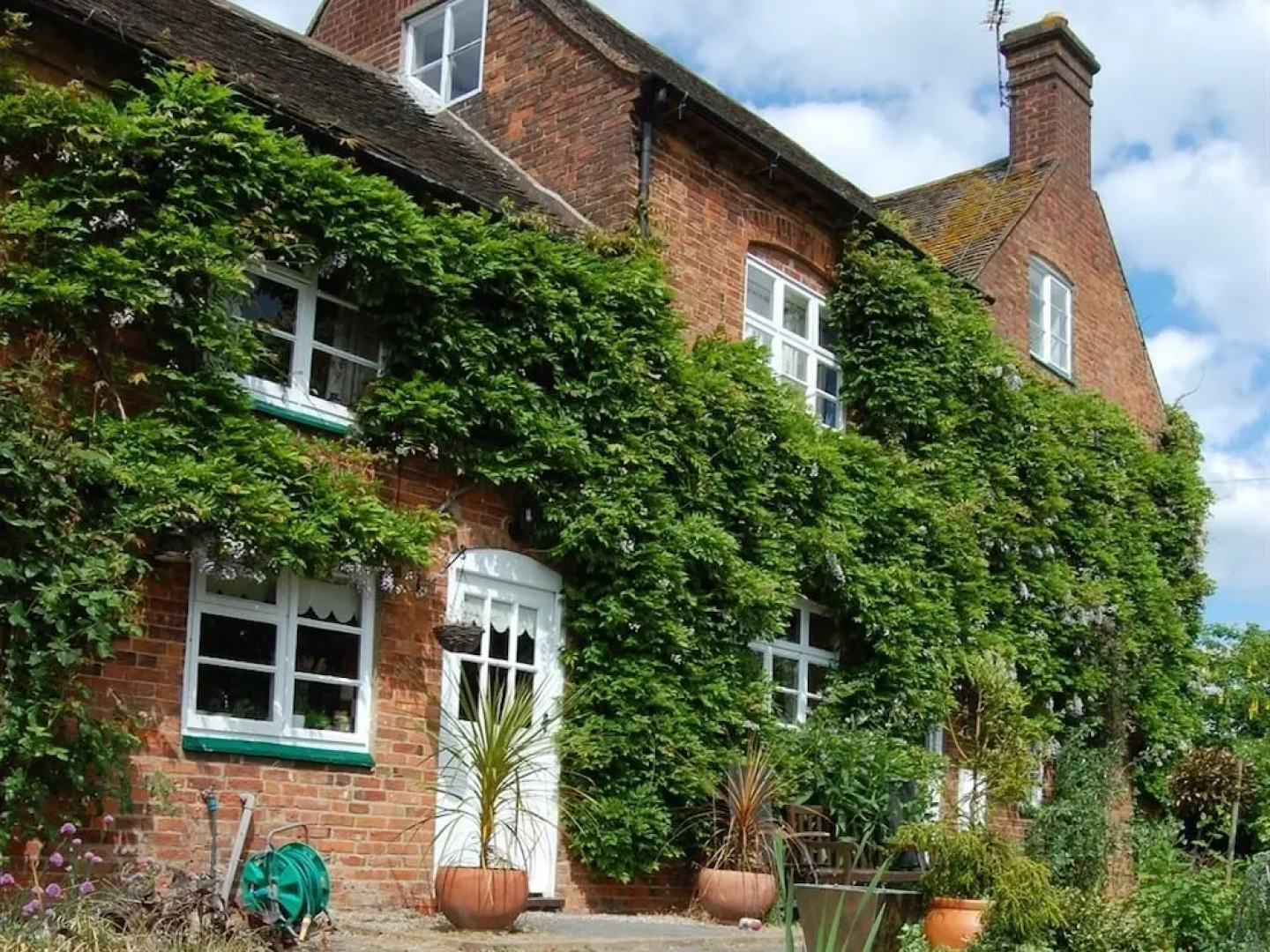 Old Ivy House Bed & Breakfast