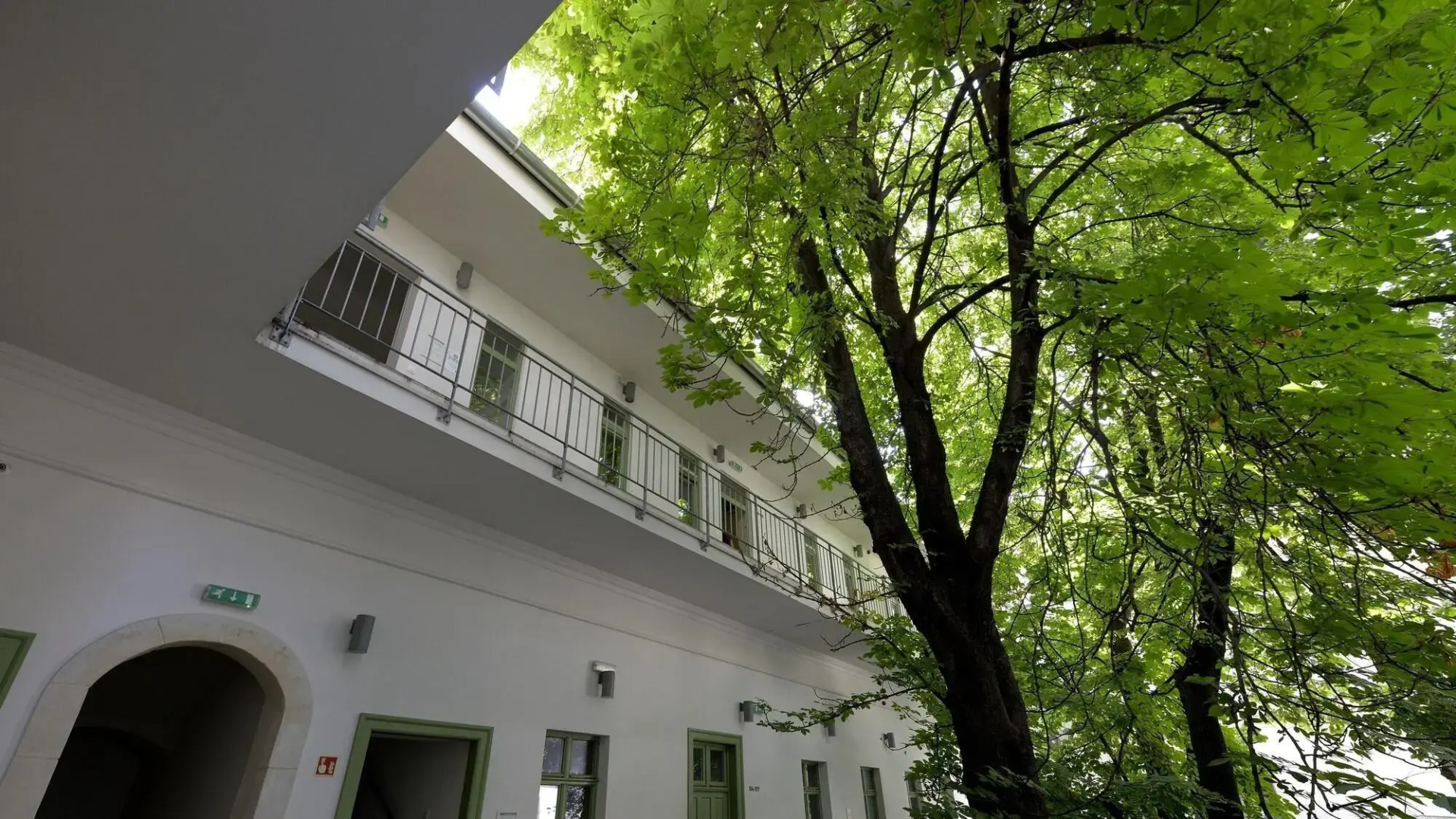 The Hive Party Hostel