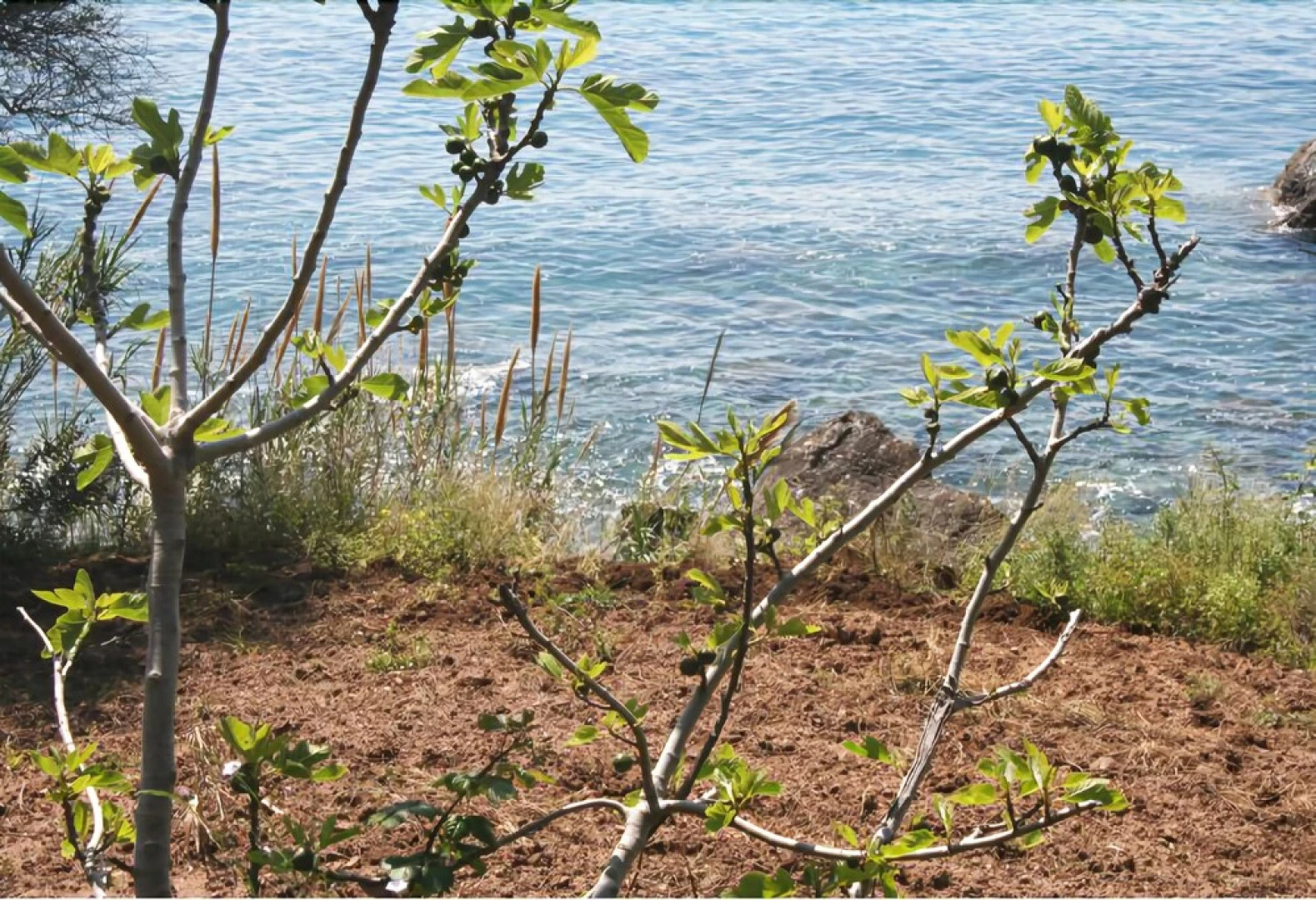 Agriturismo San Carlo