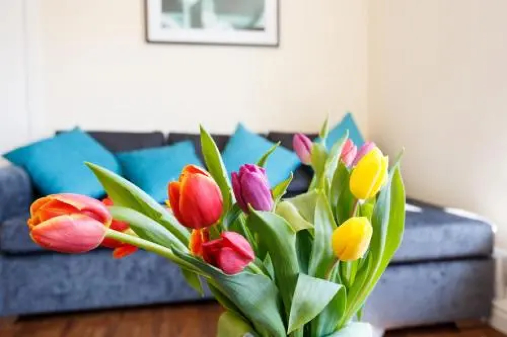 Wordsworth Apartment Irene court