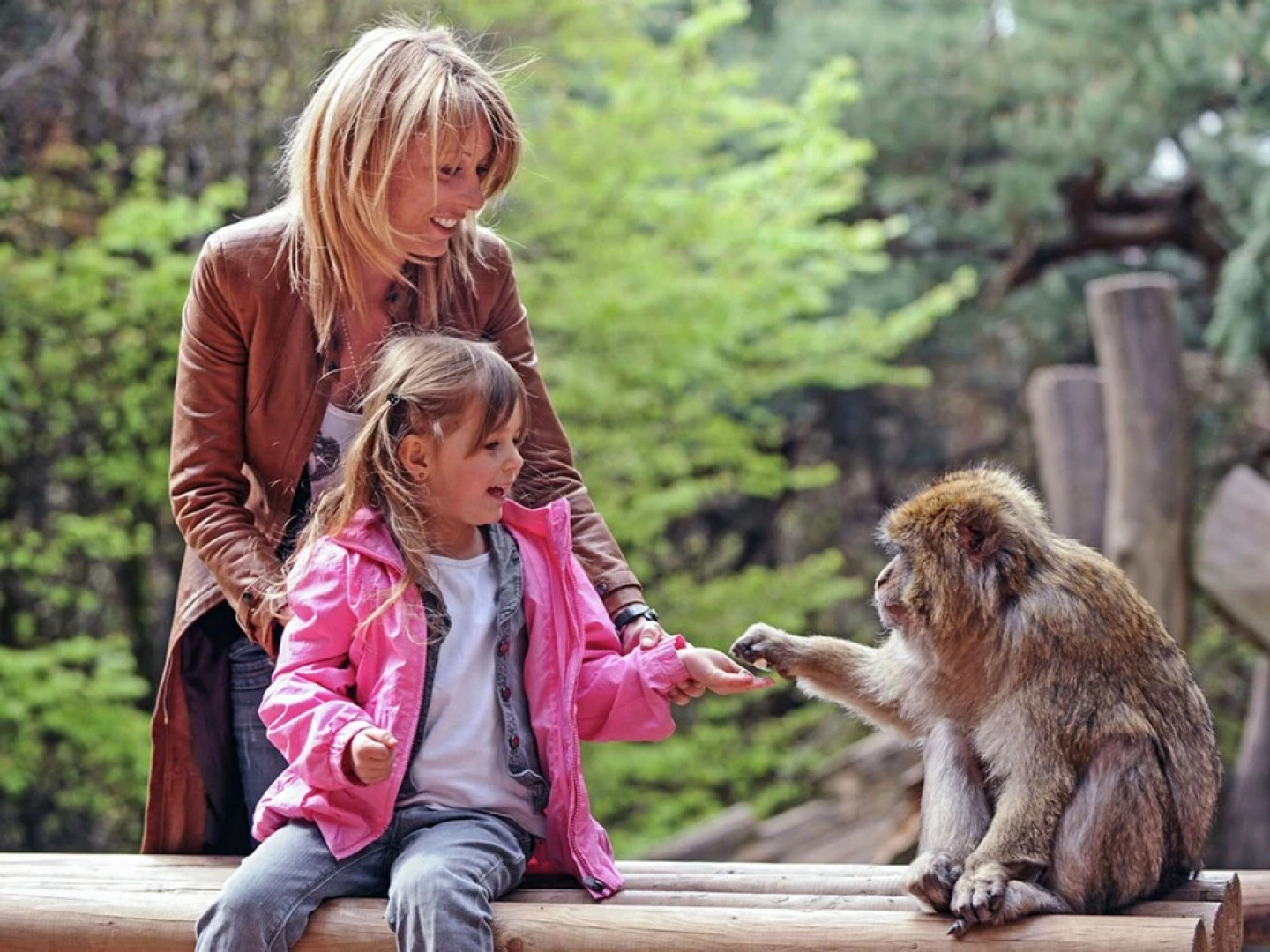 Modern Holiday Home in Salignac-Eyvigues with Swimming Pool