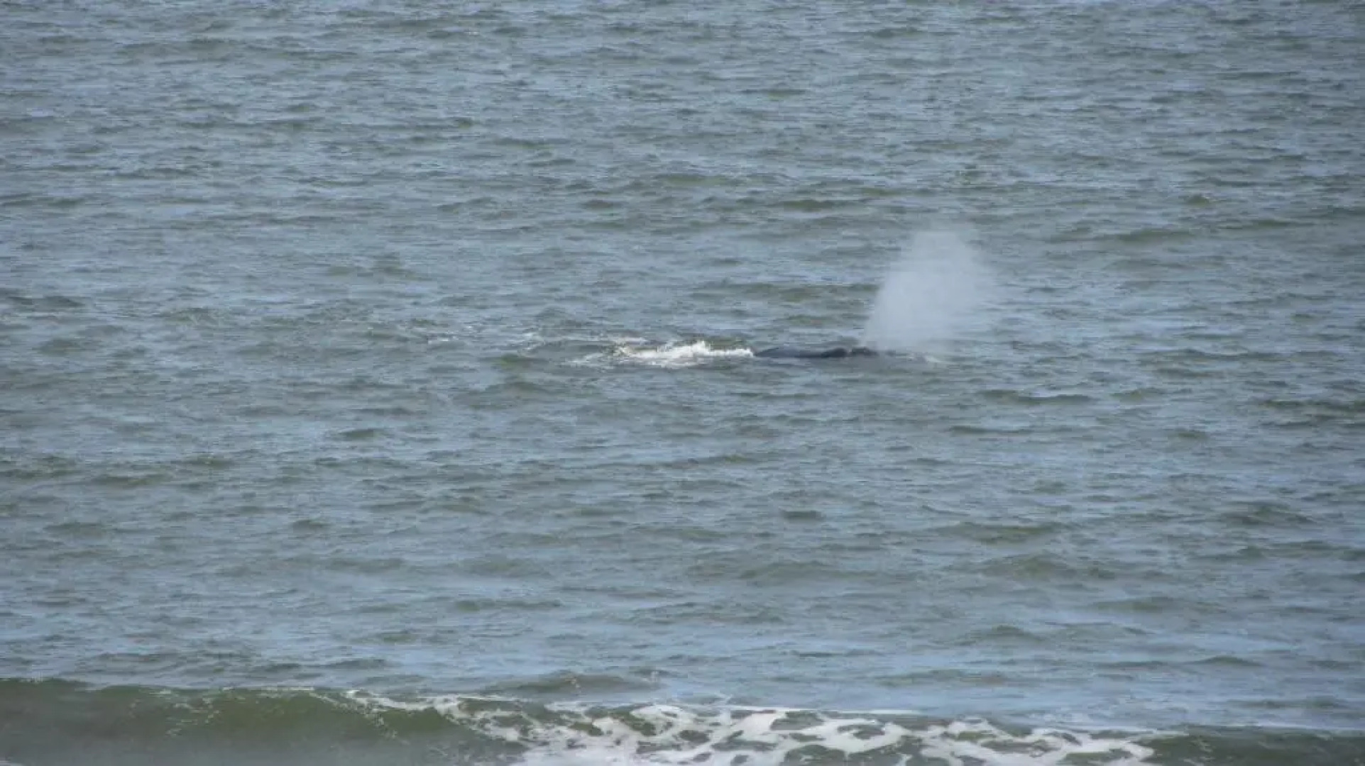 Baie des Anges Apart Hotel & Spa