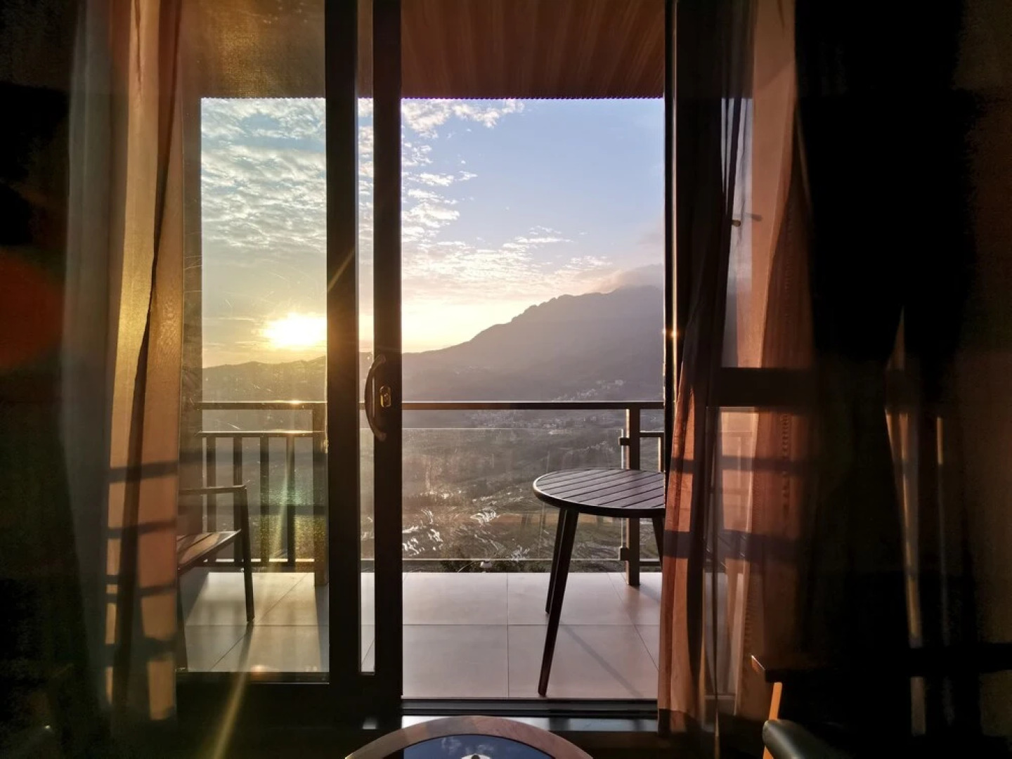 Plants and Flowers.YSTS