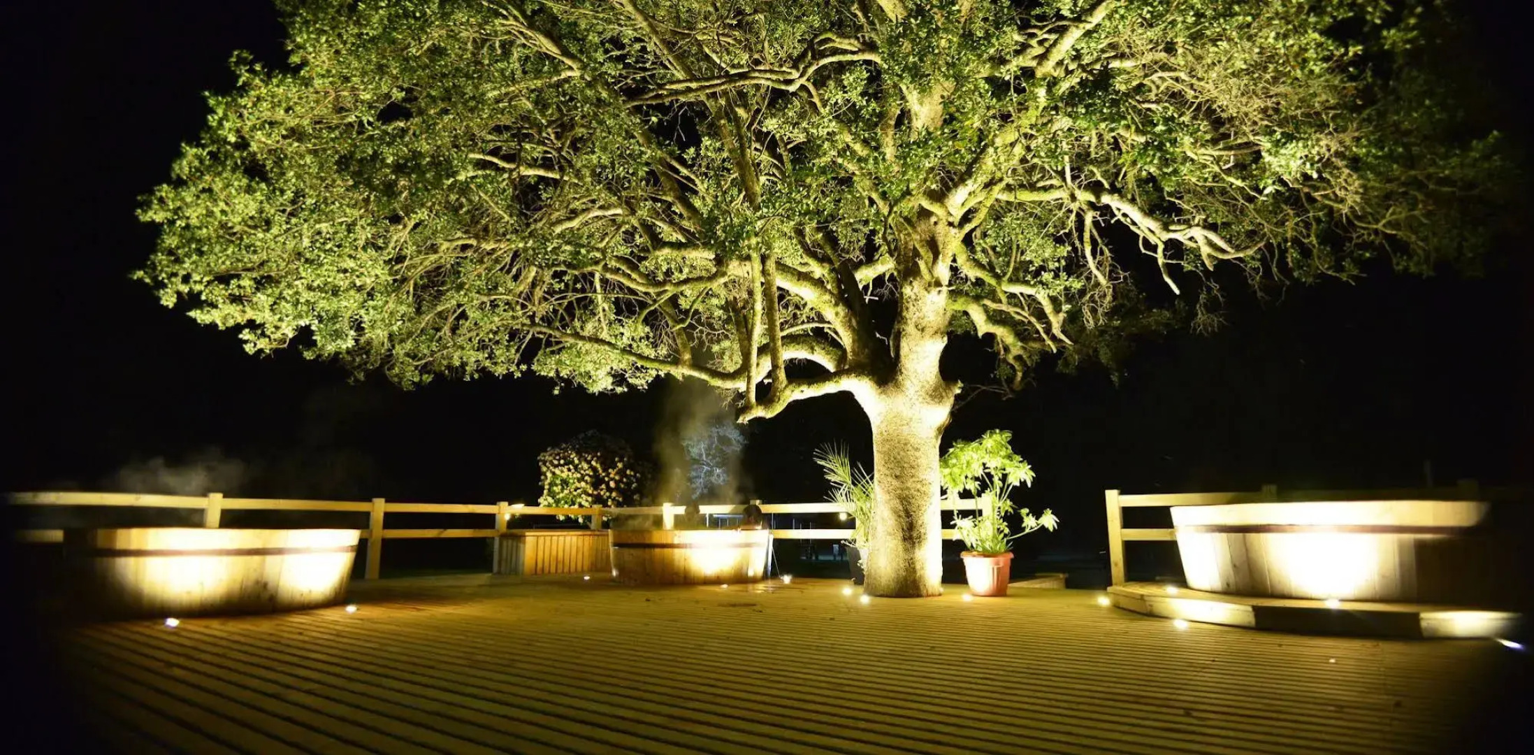 Hotel Pucon Green Park