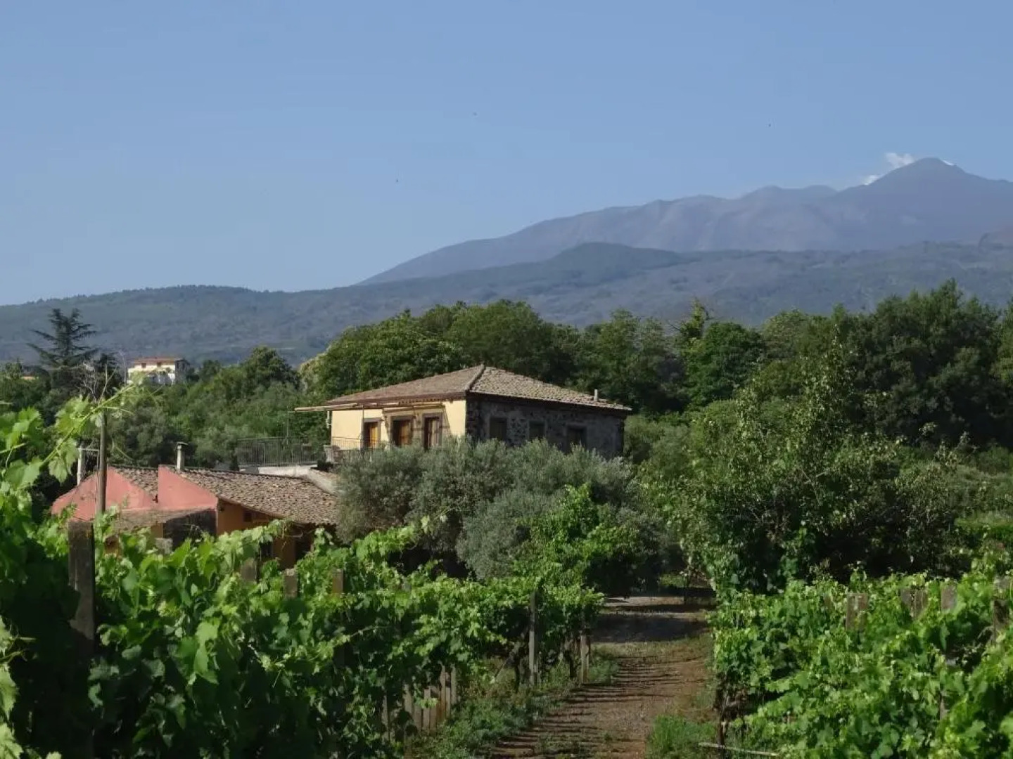 Tenuta Madonnina