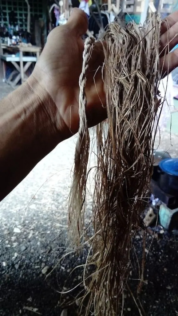 Beta Life Eco Proyecto Hostel