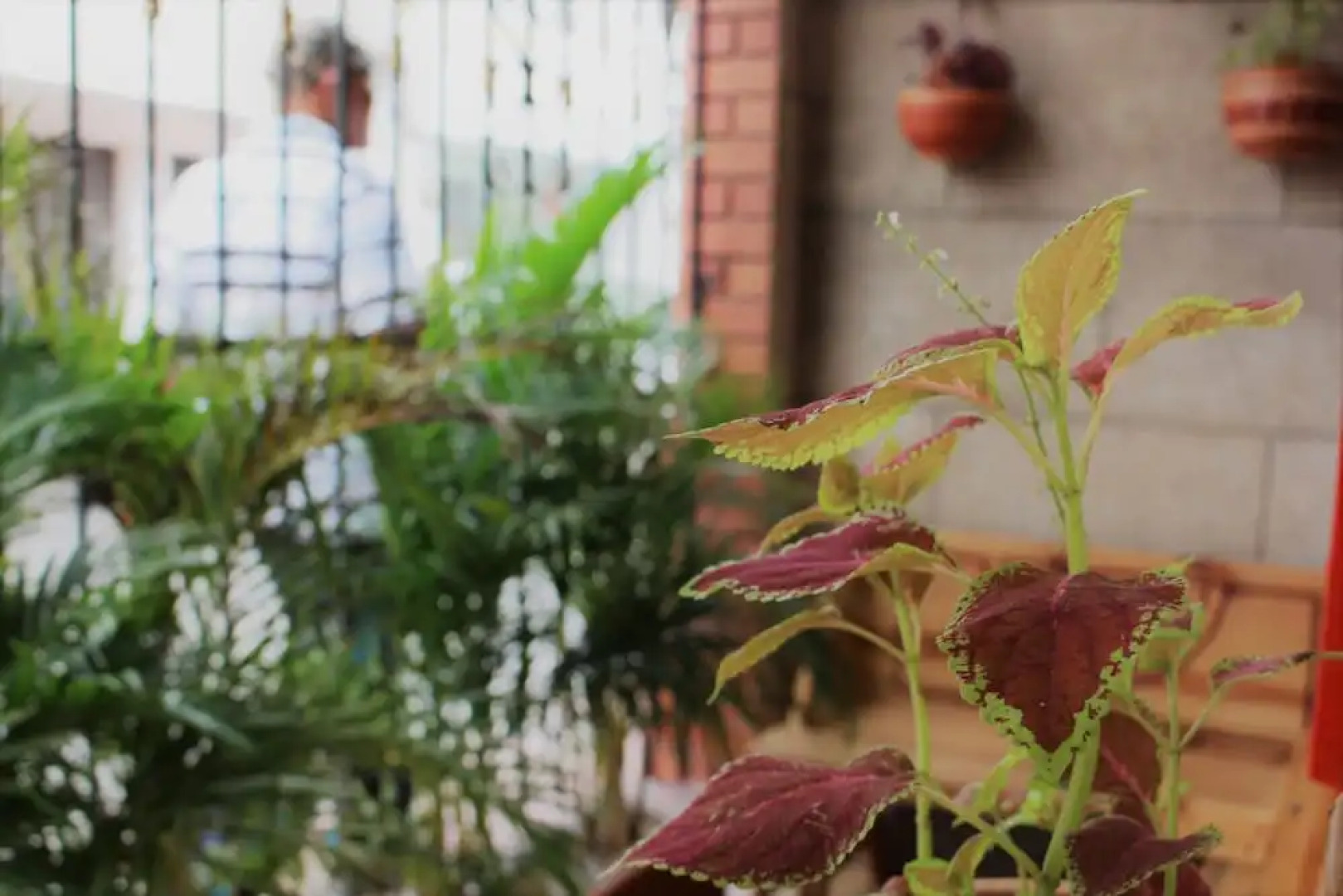 Casa Profunda Hostel