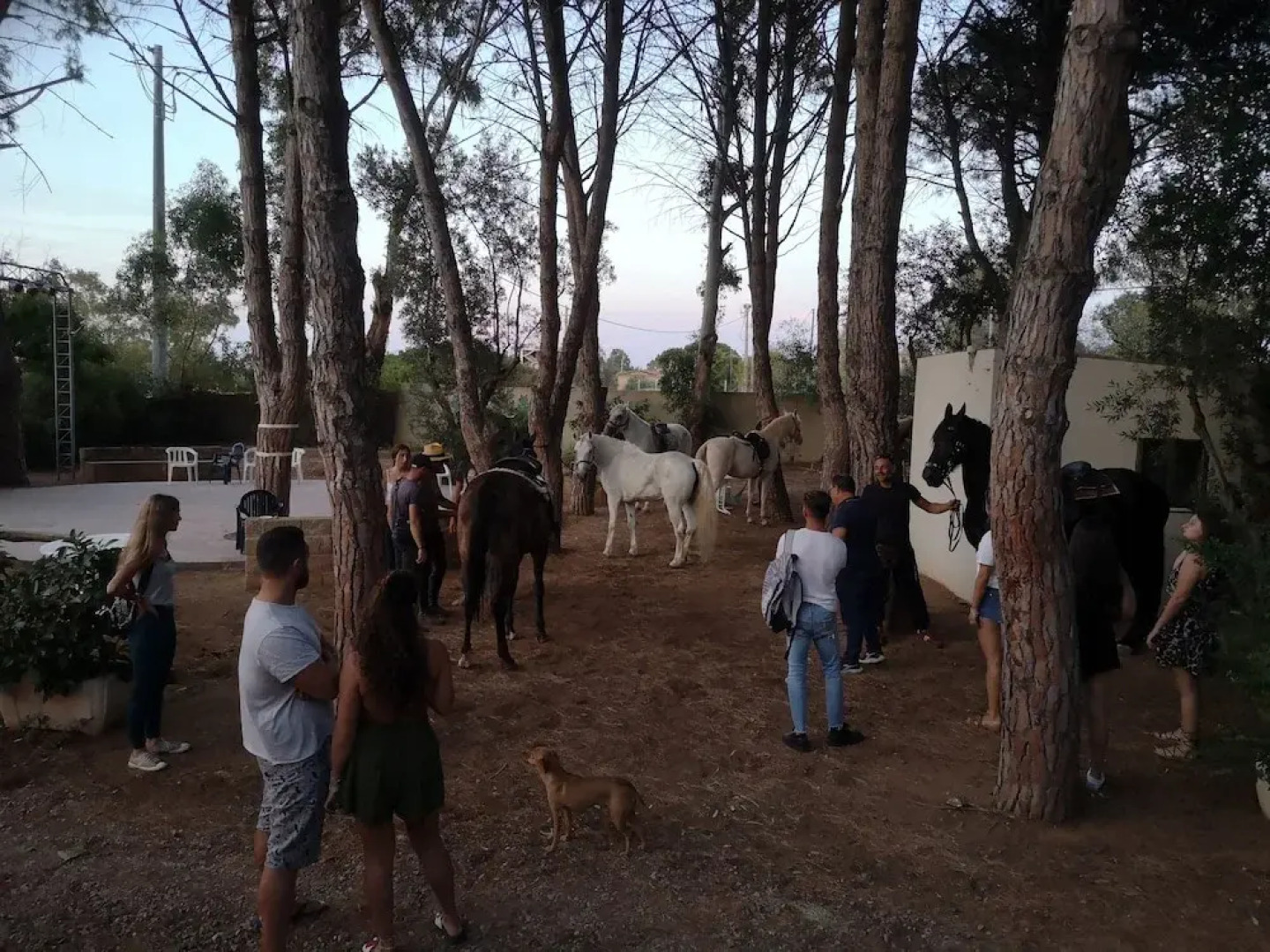 Village Camping Fico d'India