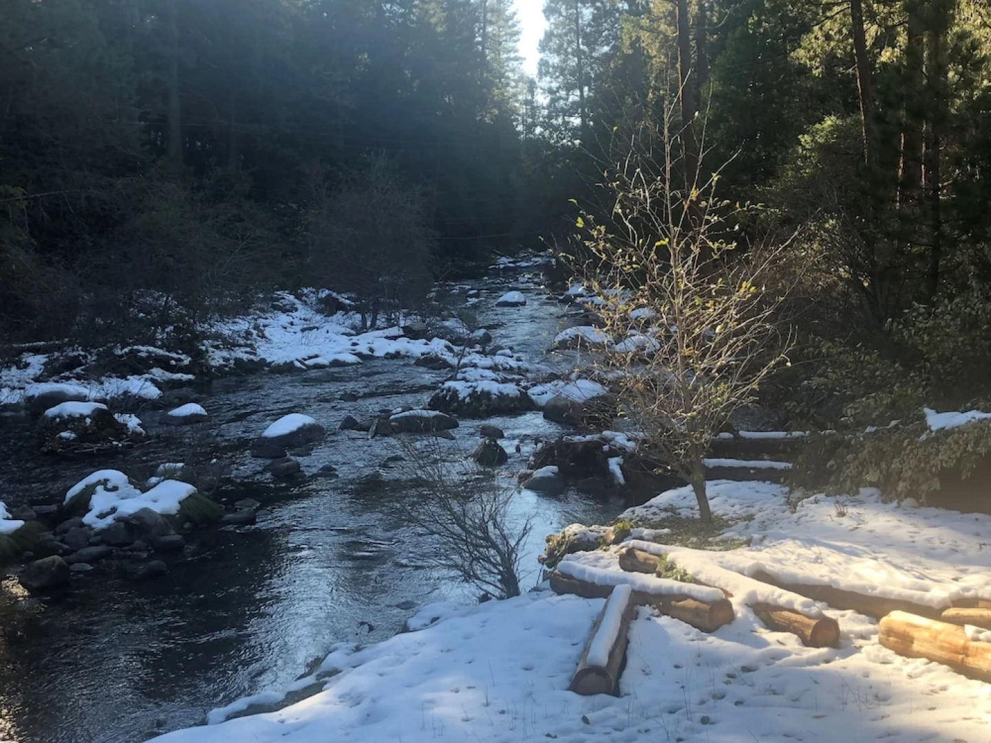 Sierra Inn on the River