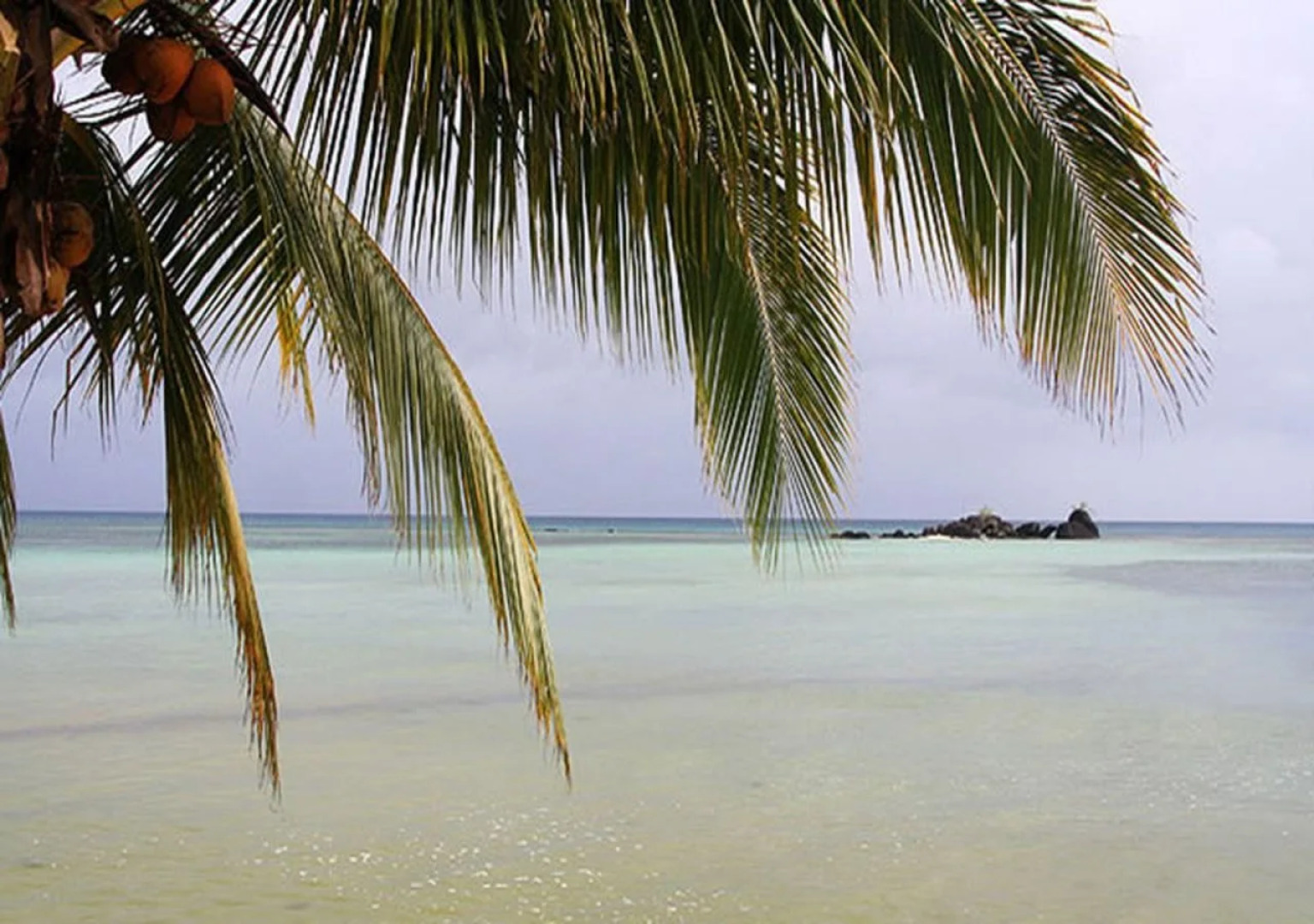 Tarzans Beach Resort