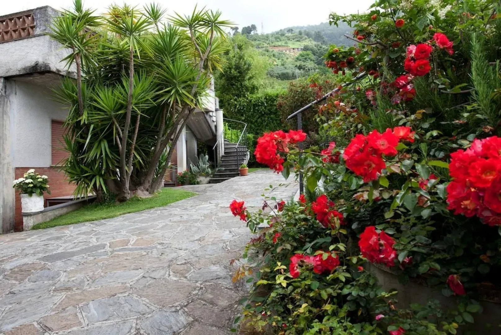 Hotel Ristorante Grappolo D'Oro