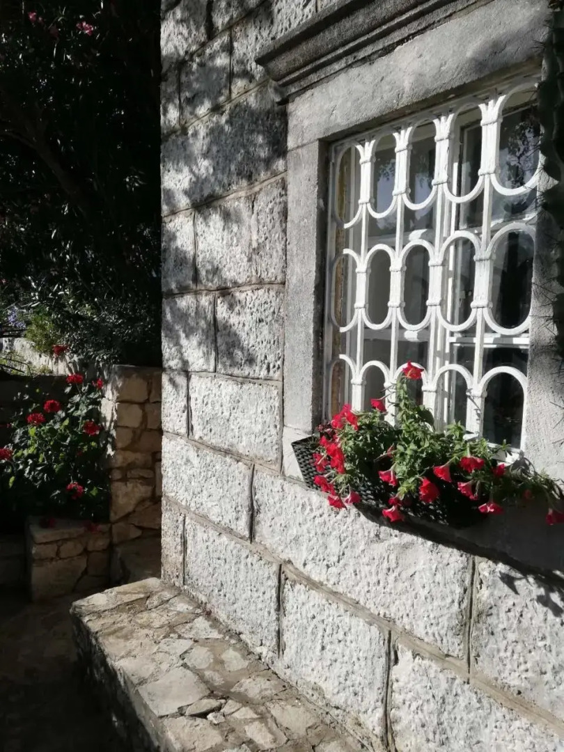 Apartment Vista Viganj