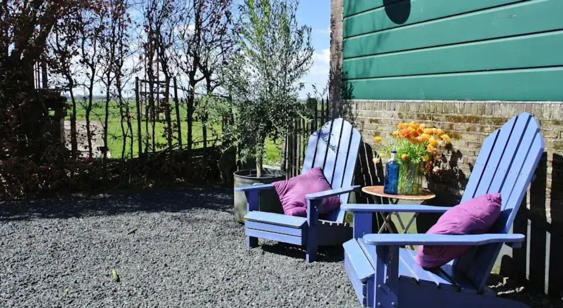 Skaap Amsterdam Waterland