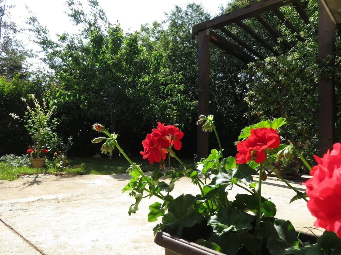 Apartment Angie A2 in Zadar