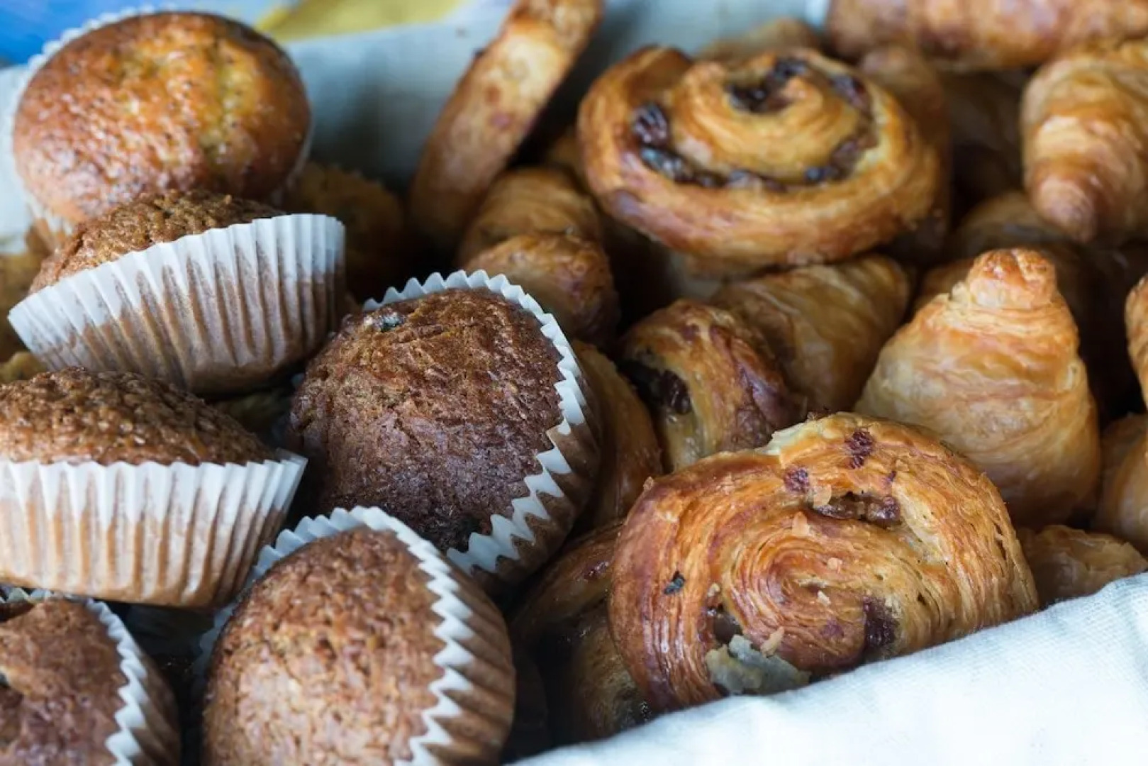 Chiefs - Namaqua Flower Camps