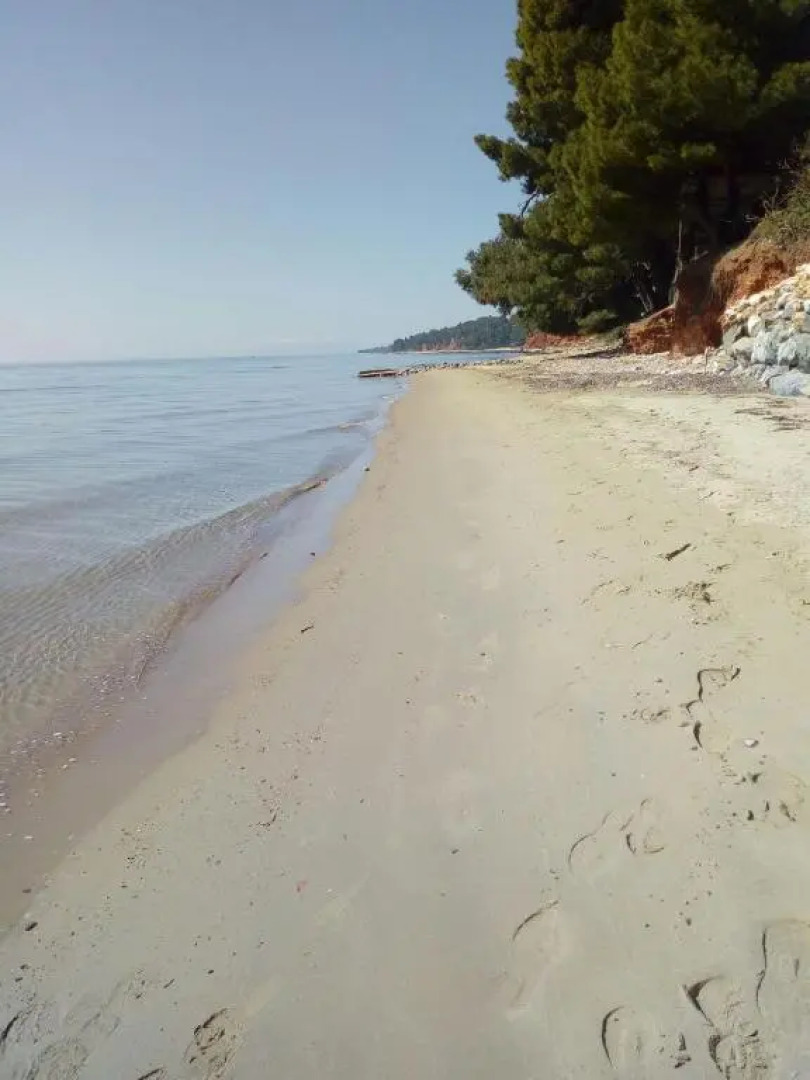 Sithonia Alekos Luxury Experience